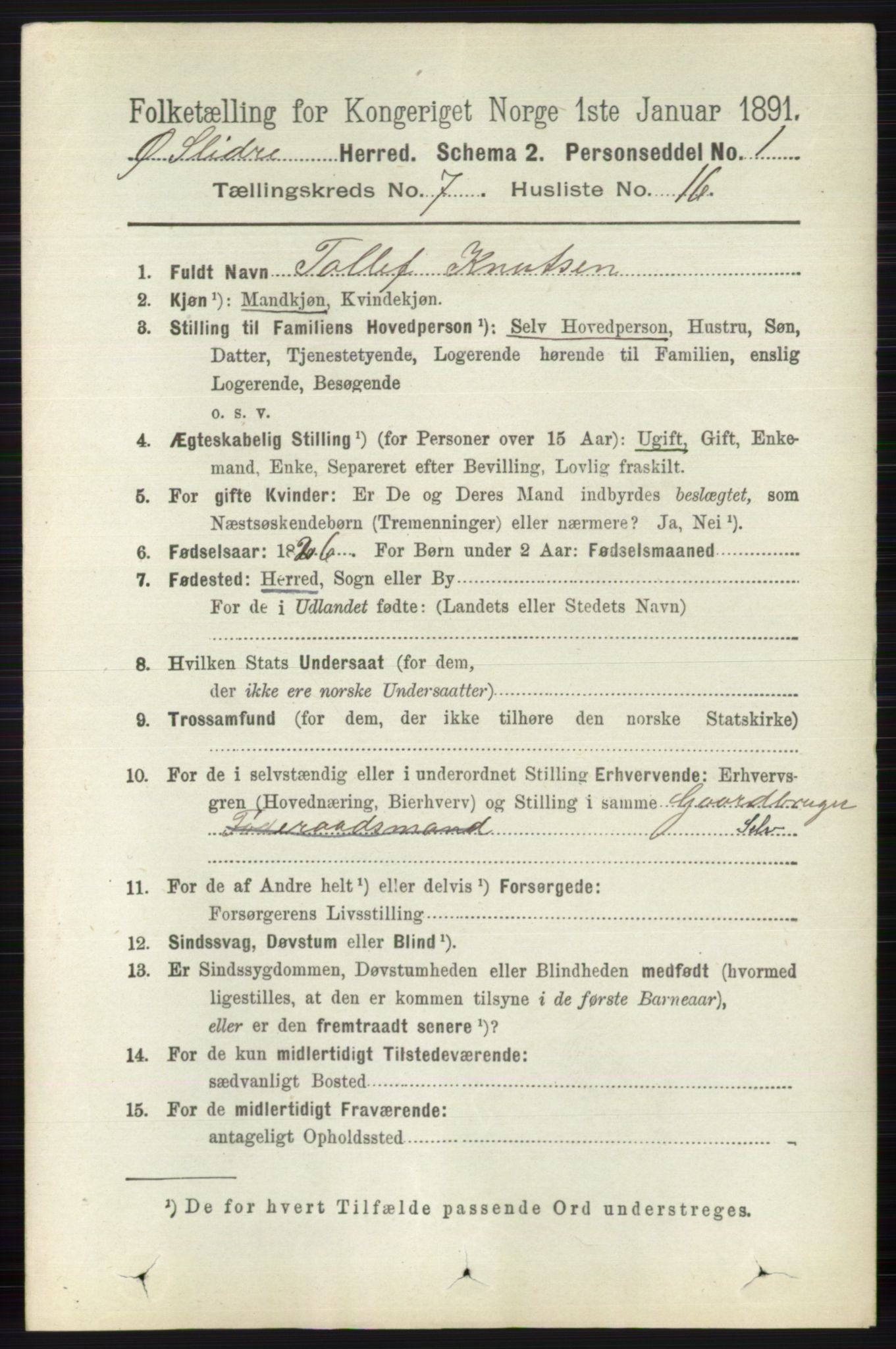 RA, 1891 census for 0544 Øystre Slidre, 1891, p. 2241