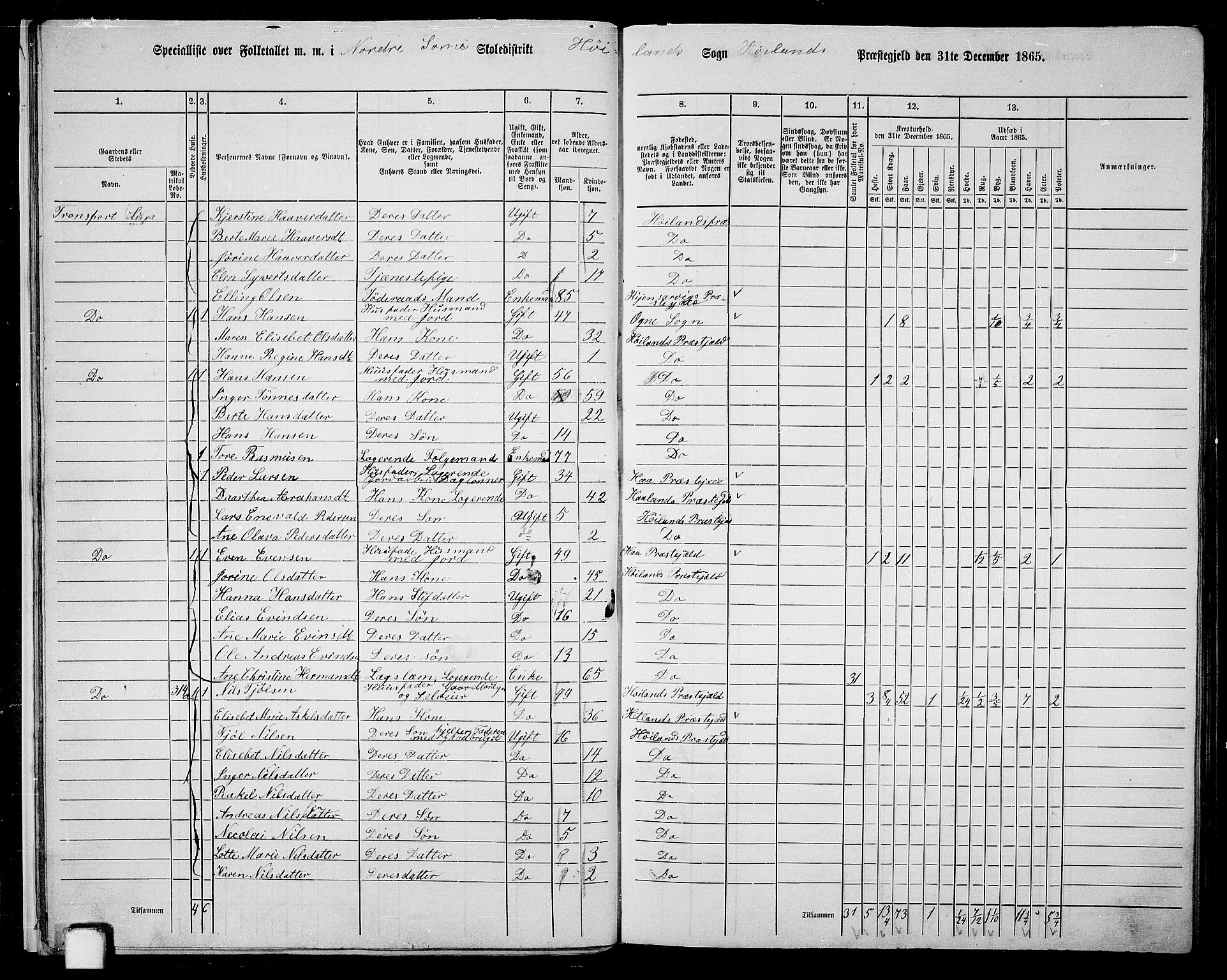 RA, 1865 census for Høyland, 1865, p. 14