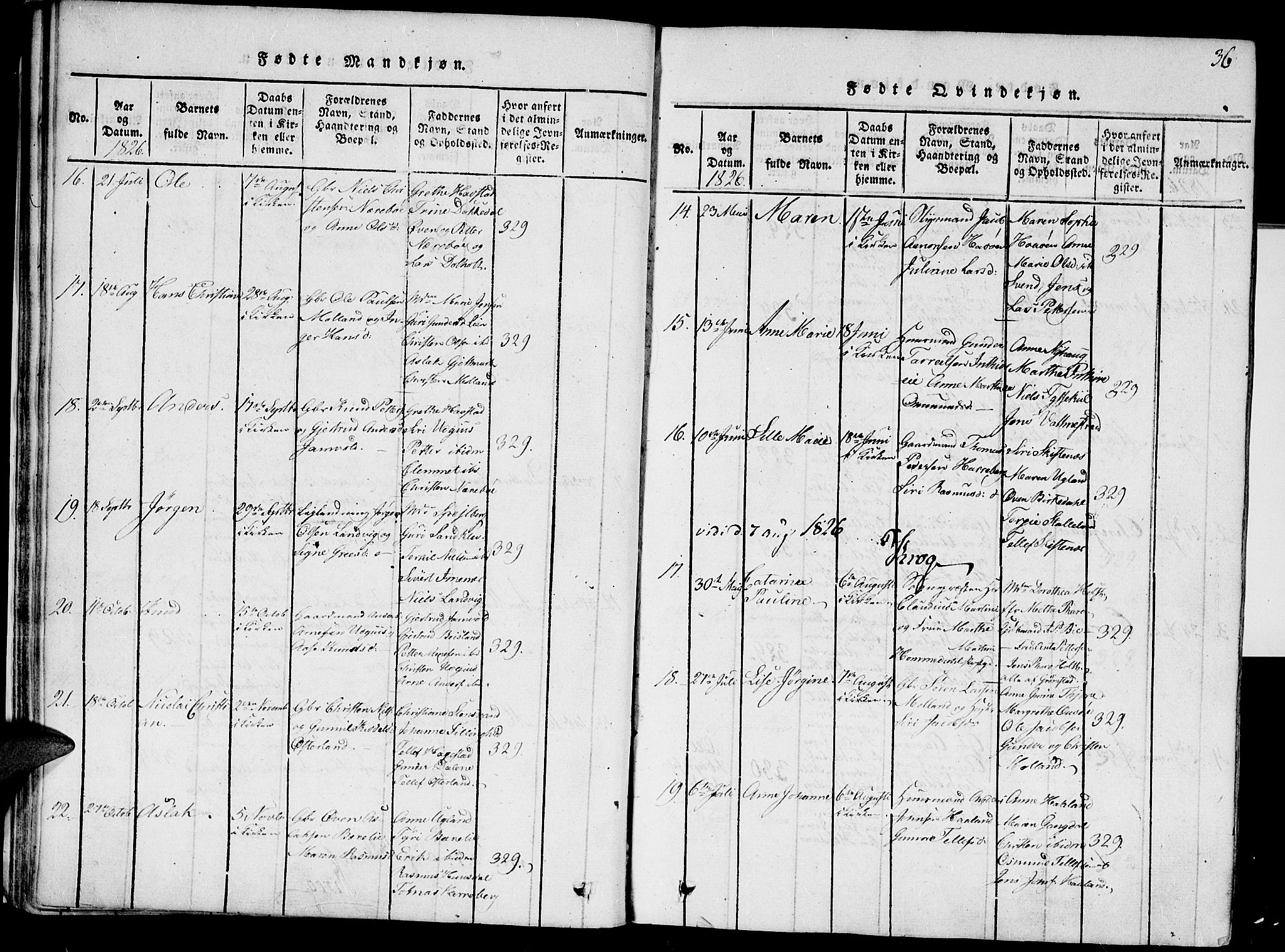 Hommedal sokneprestkontor, AV/SAK-1111-0023/F/Fa/Fab/L0003: Parish register (official) no. A 3, 1815-1848, p. 36