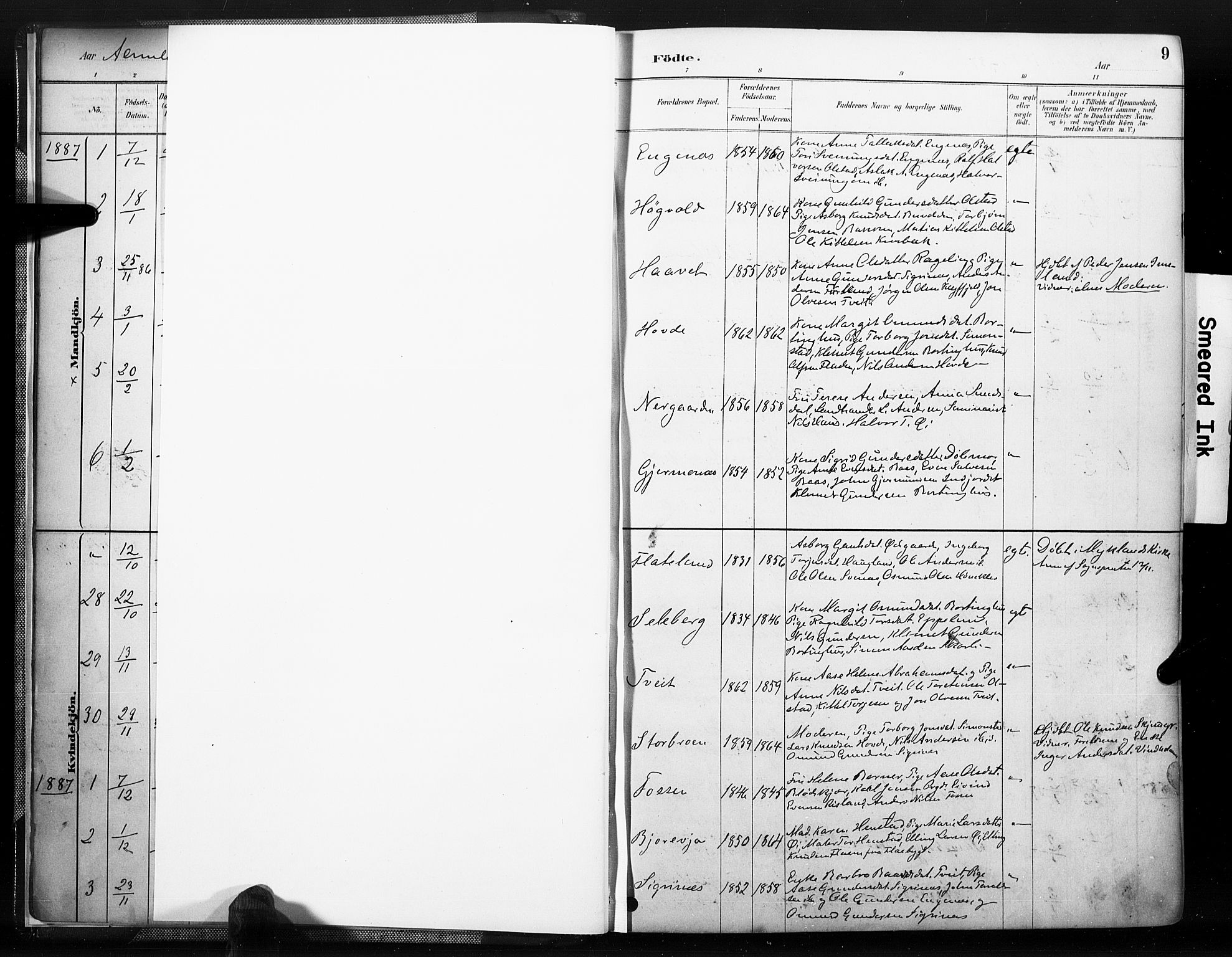 Åmli sokneprestkontor, AV/SAK-1111-0050/F/Fa/Fac/L0010: Parish register (official) no. A 10 /1, 1885-1899, p. 9