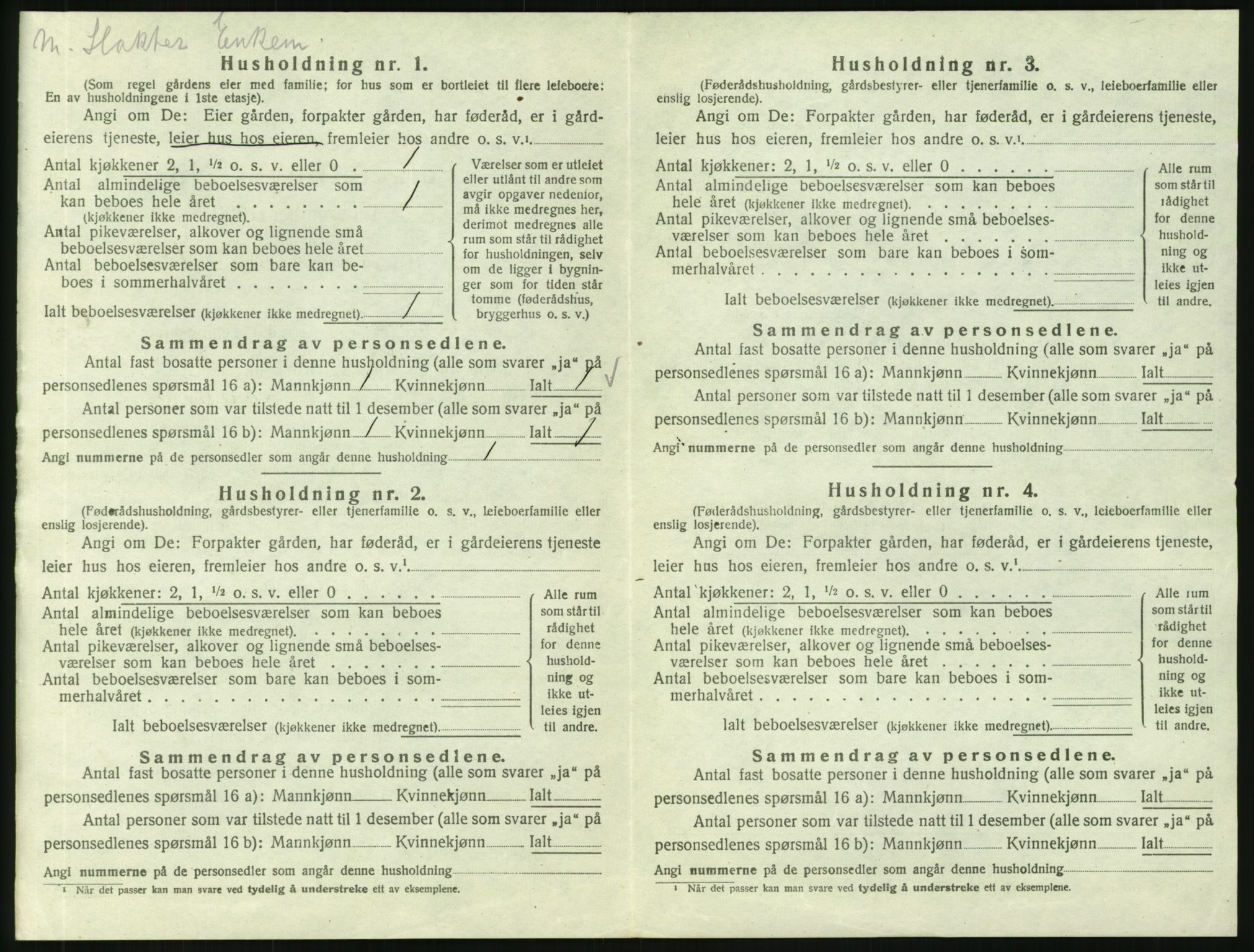 SAH, 1920 census for Nes (Hedmark), 1920, p. 1293