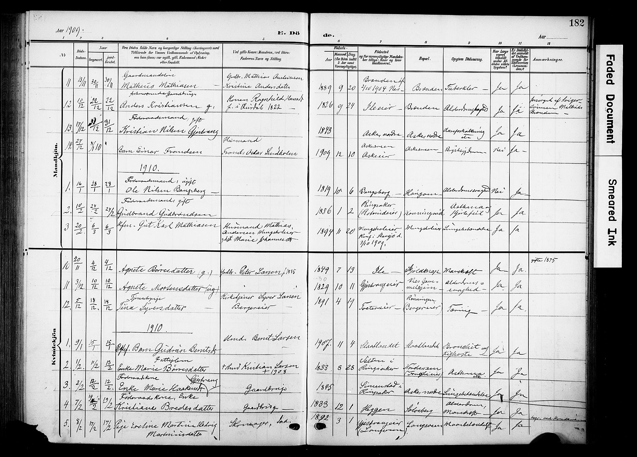 Nes prestekontor, Hedmark, SAH/PREST-020/K/Ka/L0013: Parish register (official) no. 13, 1906-1924, p. 182