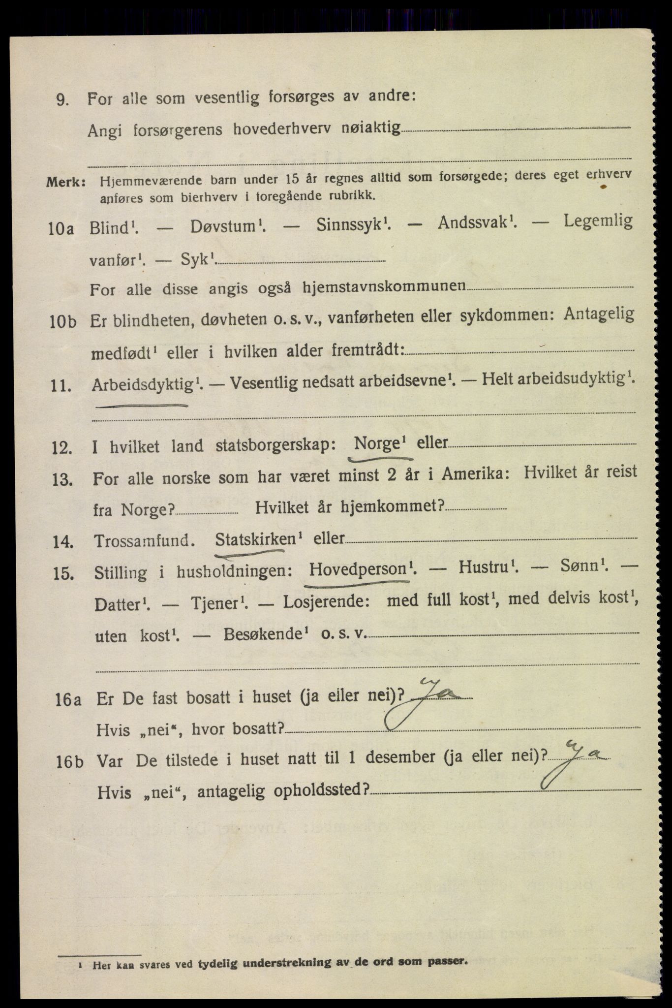 SAH, 1920 census for Lom, 1920, p. 3785