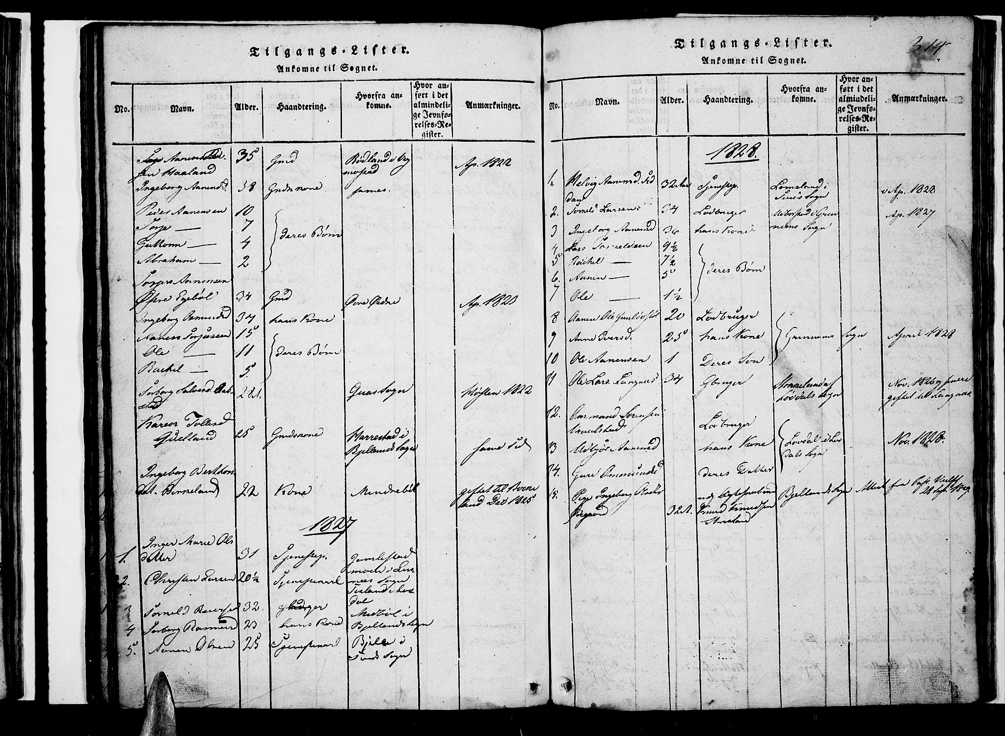 Nord-Audnedal sokneprestkontor, AV/SAK-1111-0032/F/Fb/Fba/L0001: Parish register (copy) no. B 1, 1815-1856, p. 314