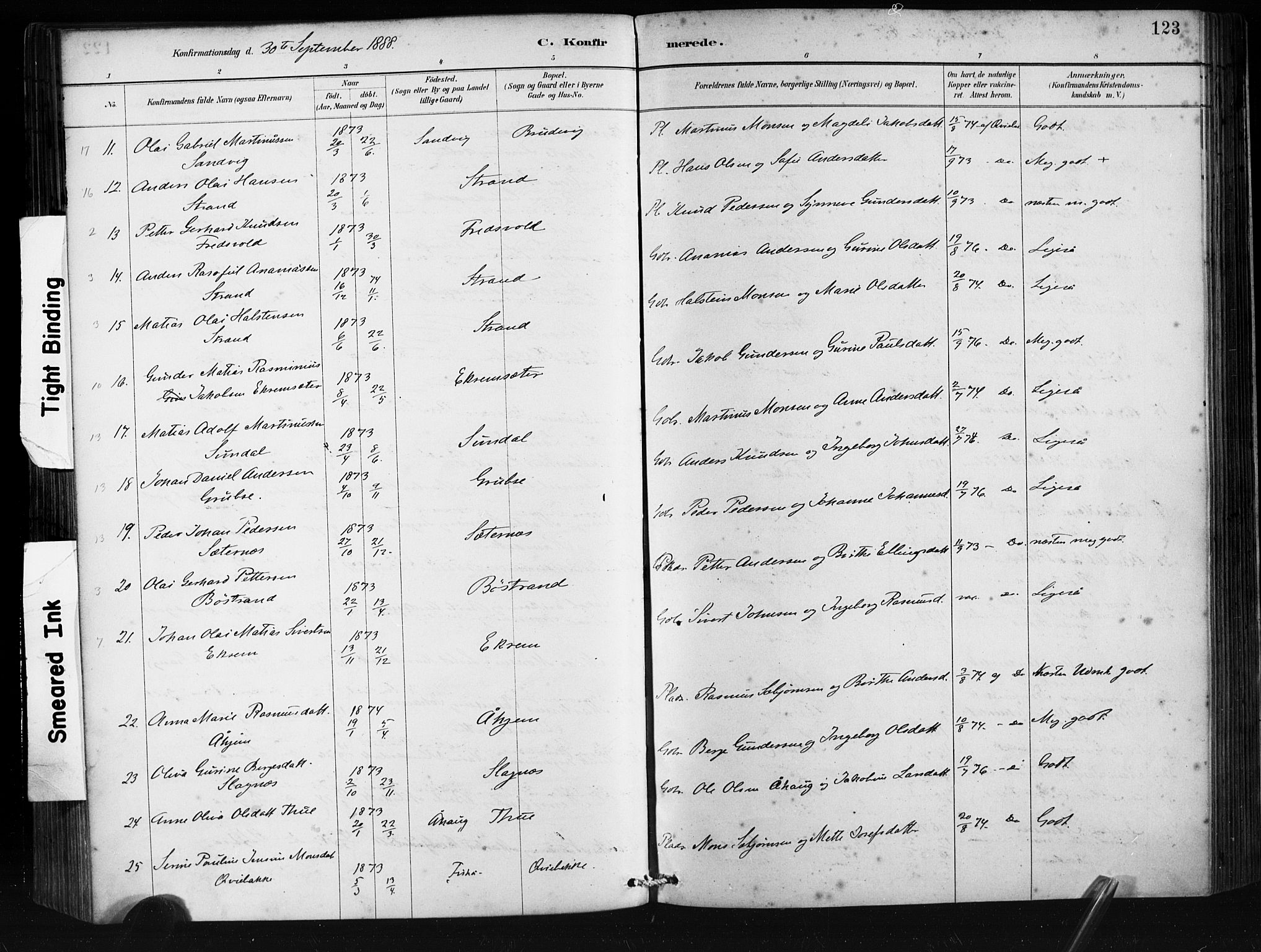 Ministerialprotokoller, klokkerbøker og fødselsregistre - Møre og Romsdal, AV/SAT-A-1454/501/L0008: Parish register (official) no. 501A08, 1885-1901, p. 123