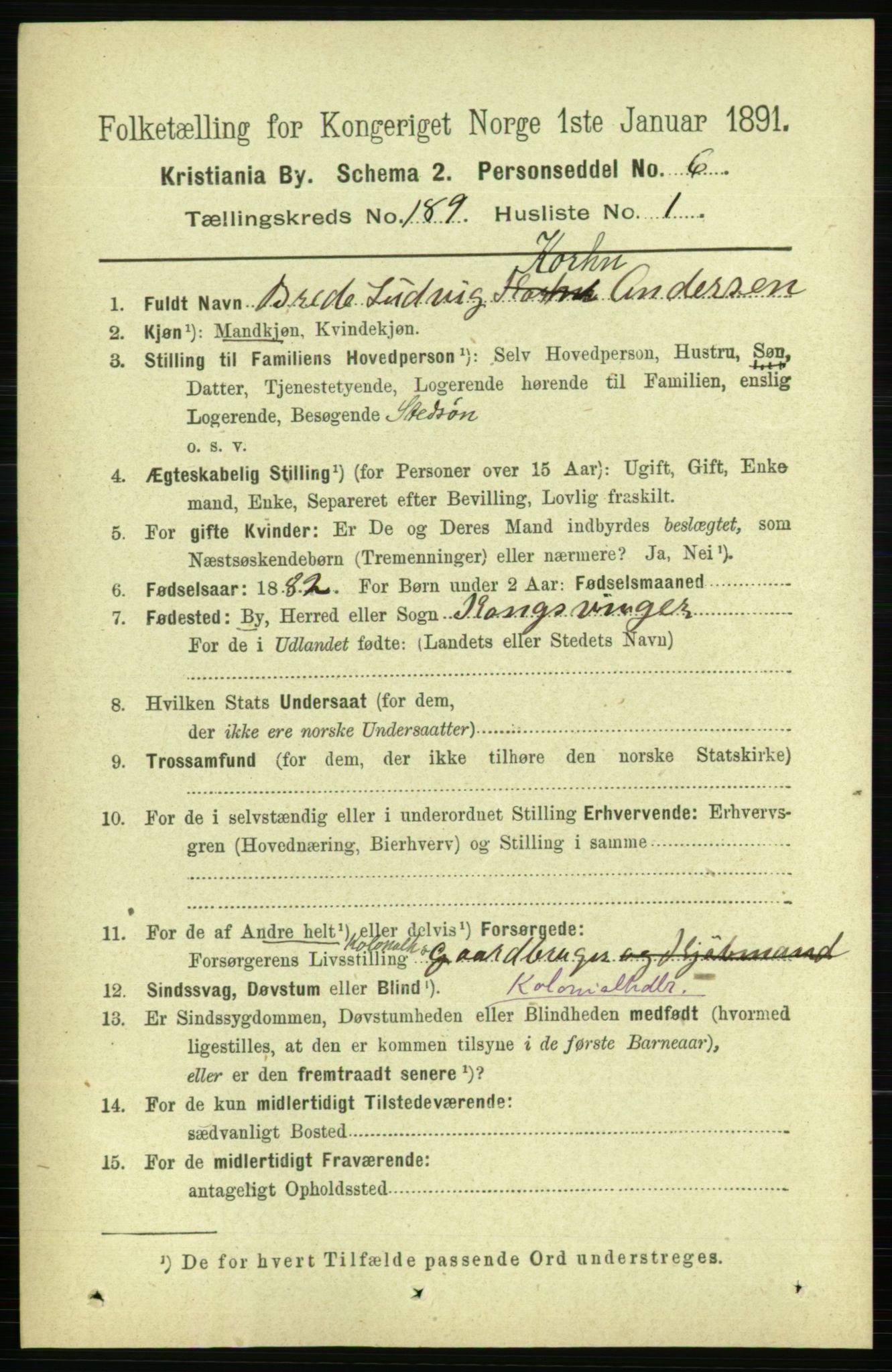 RA, 1891 census for 0301 Kristiania, 1891, p. 113195