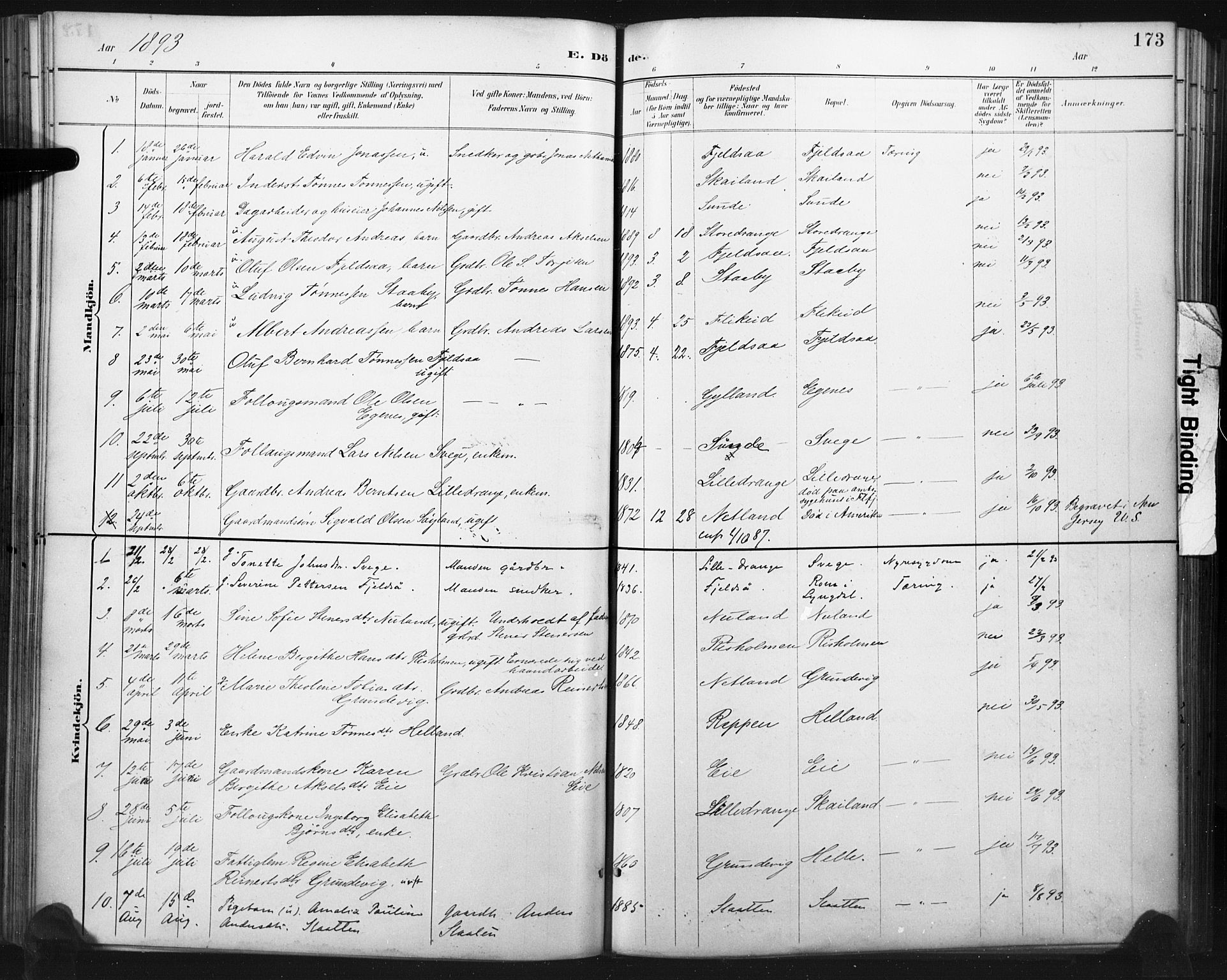 Flekkefjord sokneprestkontor, AV/SAK-1111-0012/F/Fa/Fac/L0008: Parish register (official) no. A 8, 1885-1898, p. 173