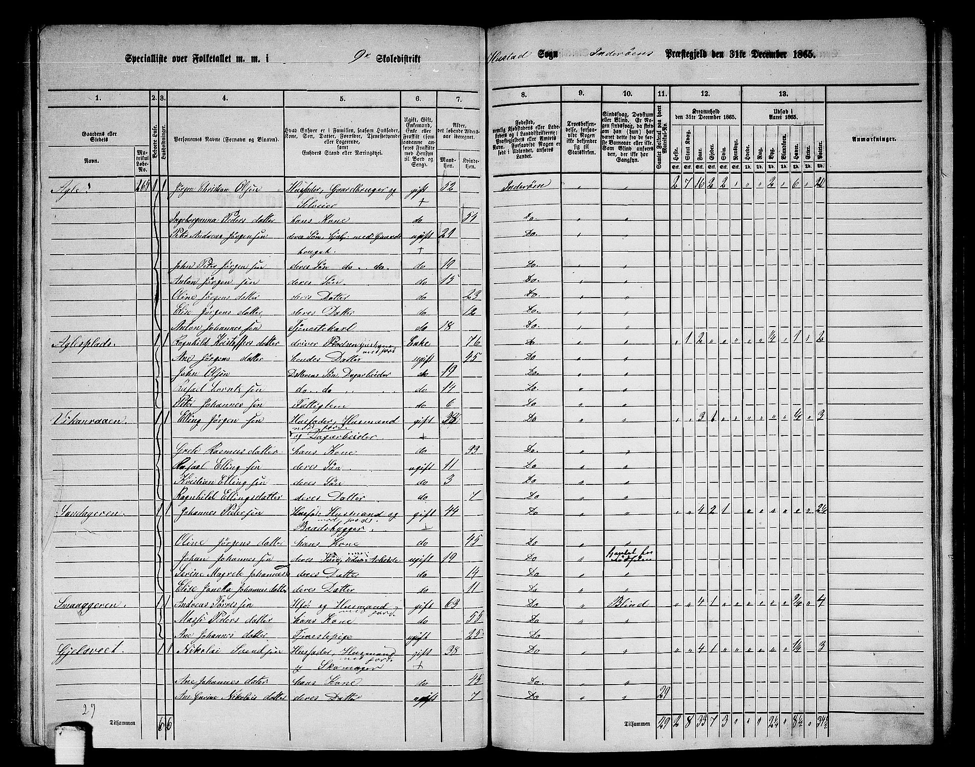 RA, 1865 census for Inderøy, 1865, p. 119