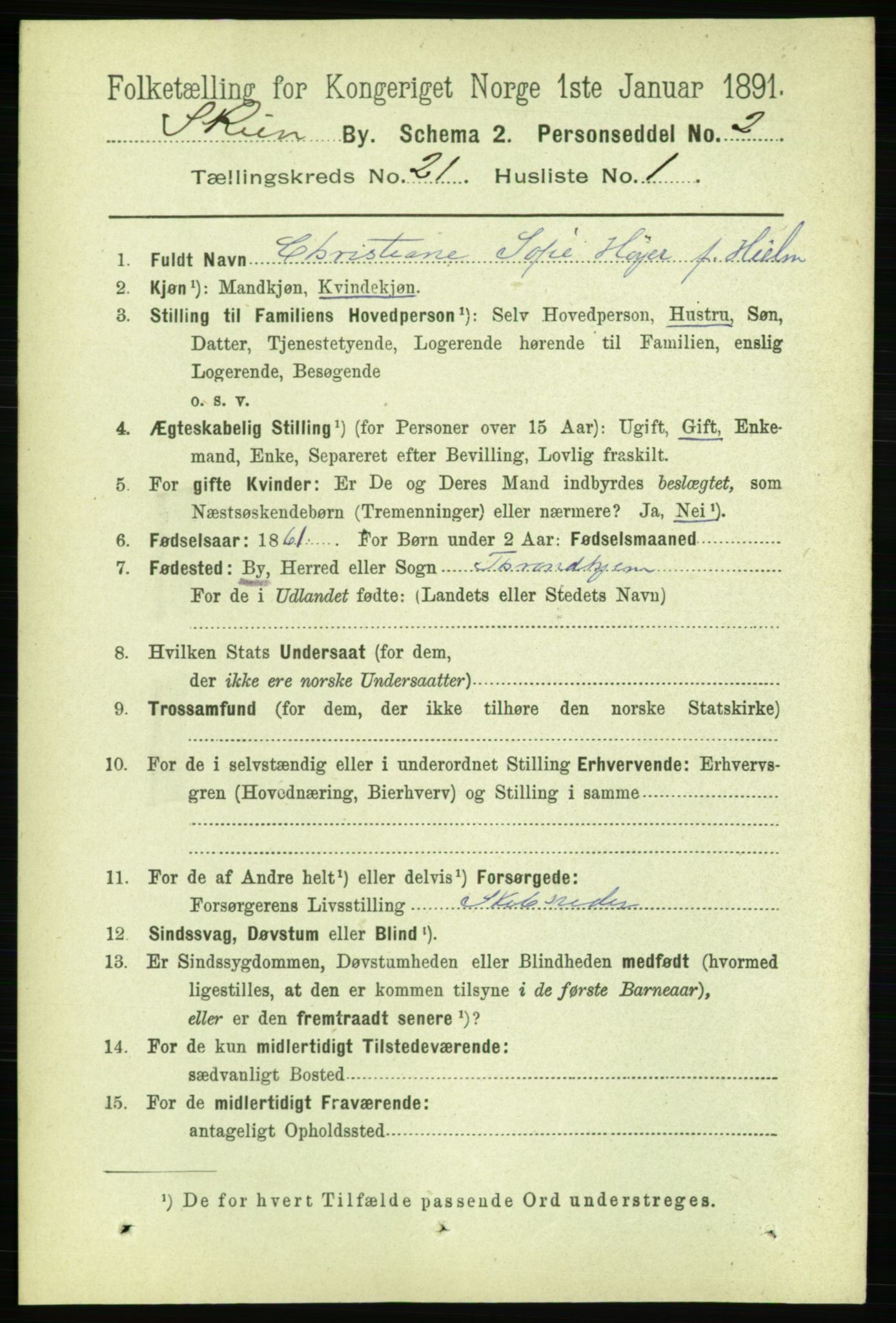 RA, 1891 census for 0806 Skien, 1891, p. 5405