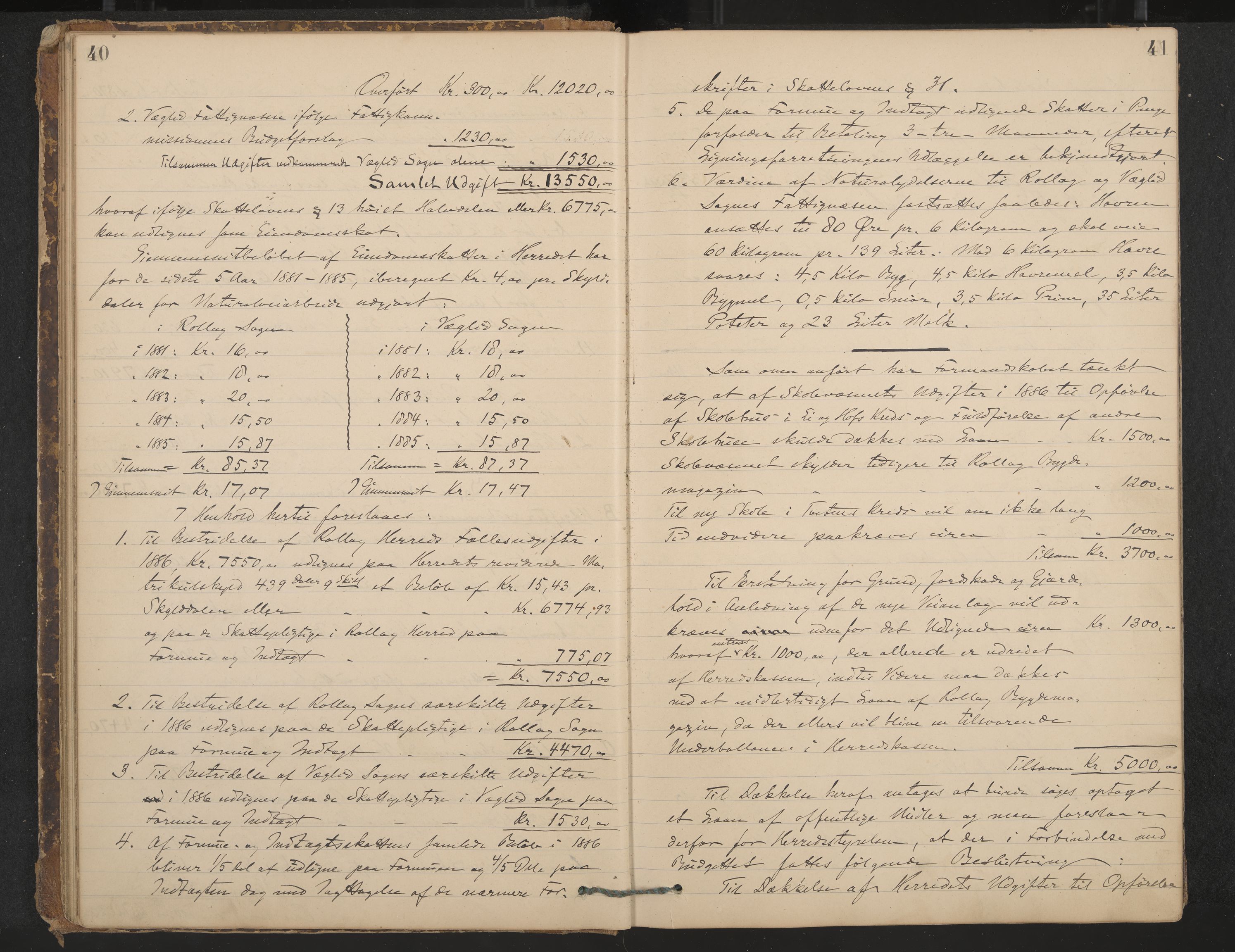 Rollag formannskap og sentraladministrasjon, IKAK/0632021-2/A/Aa/L0003: Møtebok, 1884-1897, p. 40-41