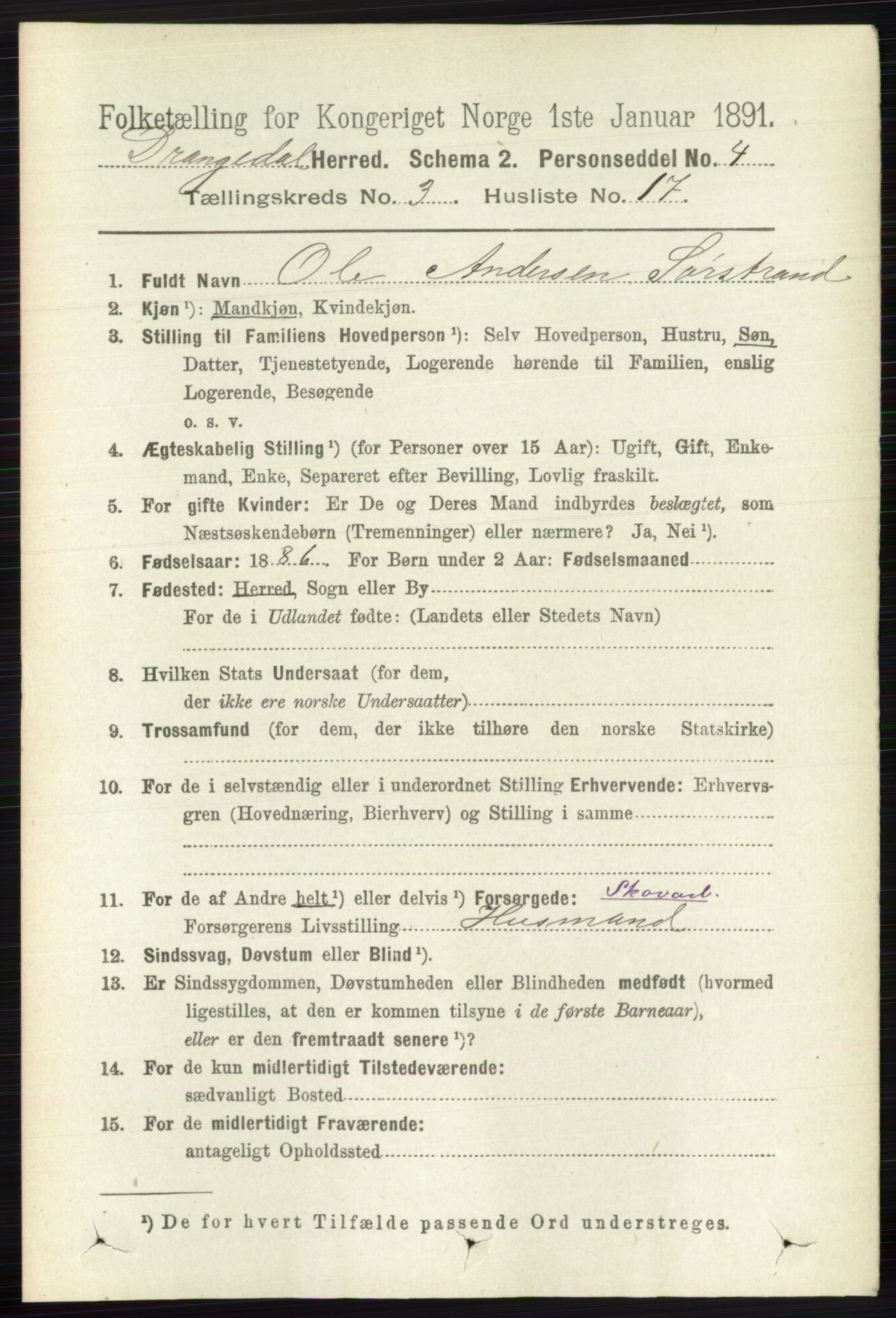 RA, 1891 census for 0817 Drangedal, 1891, p. 956