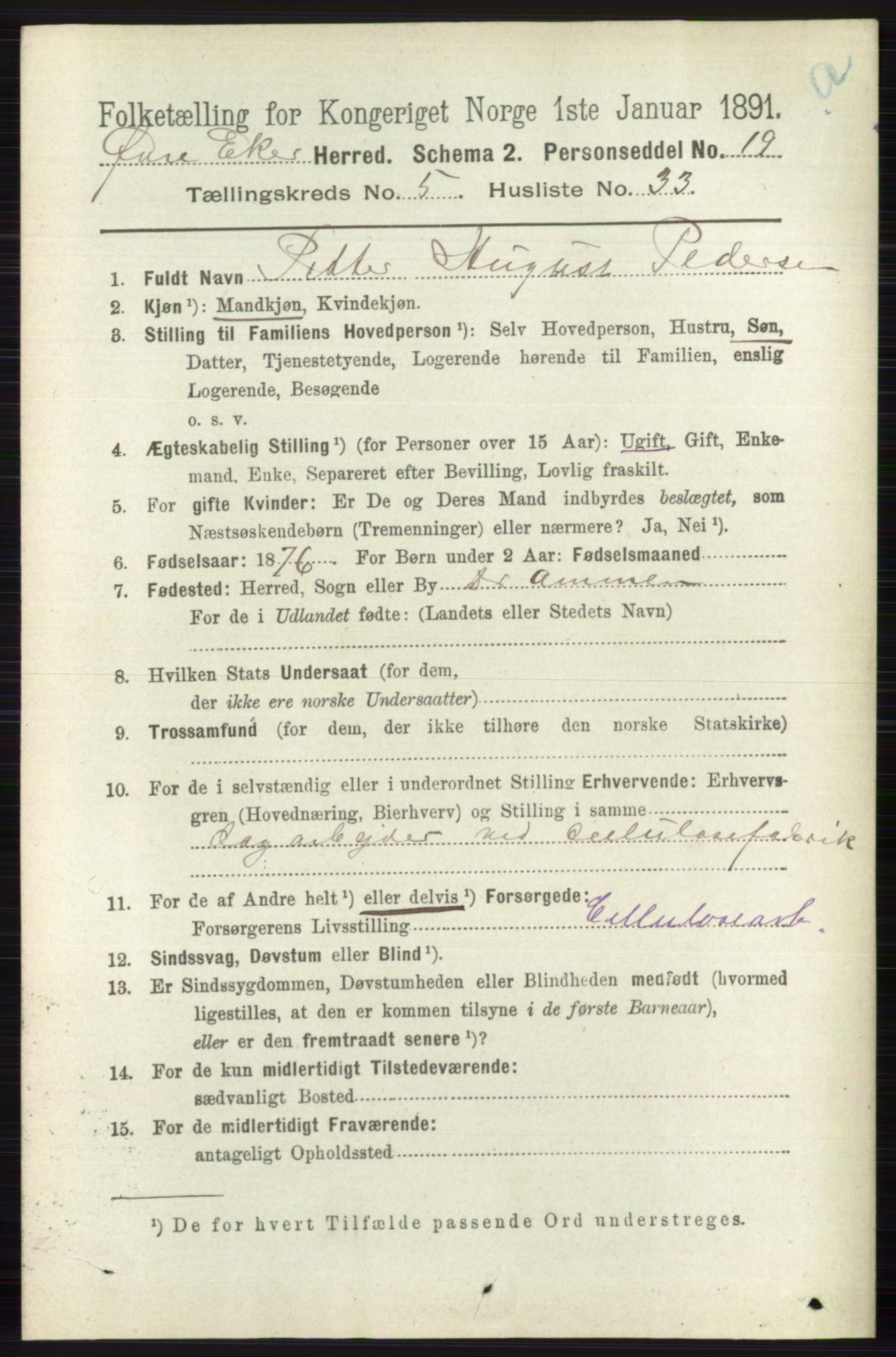 RA, 1891 census for 0624 Øvre Eiker, 1891, p. 1996