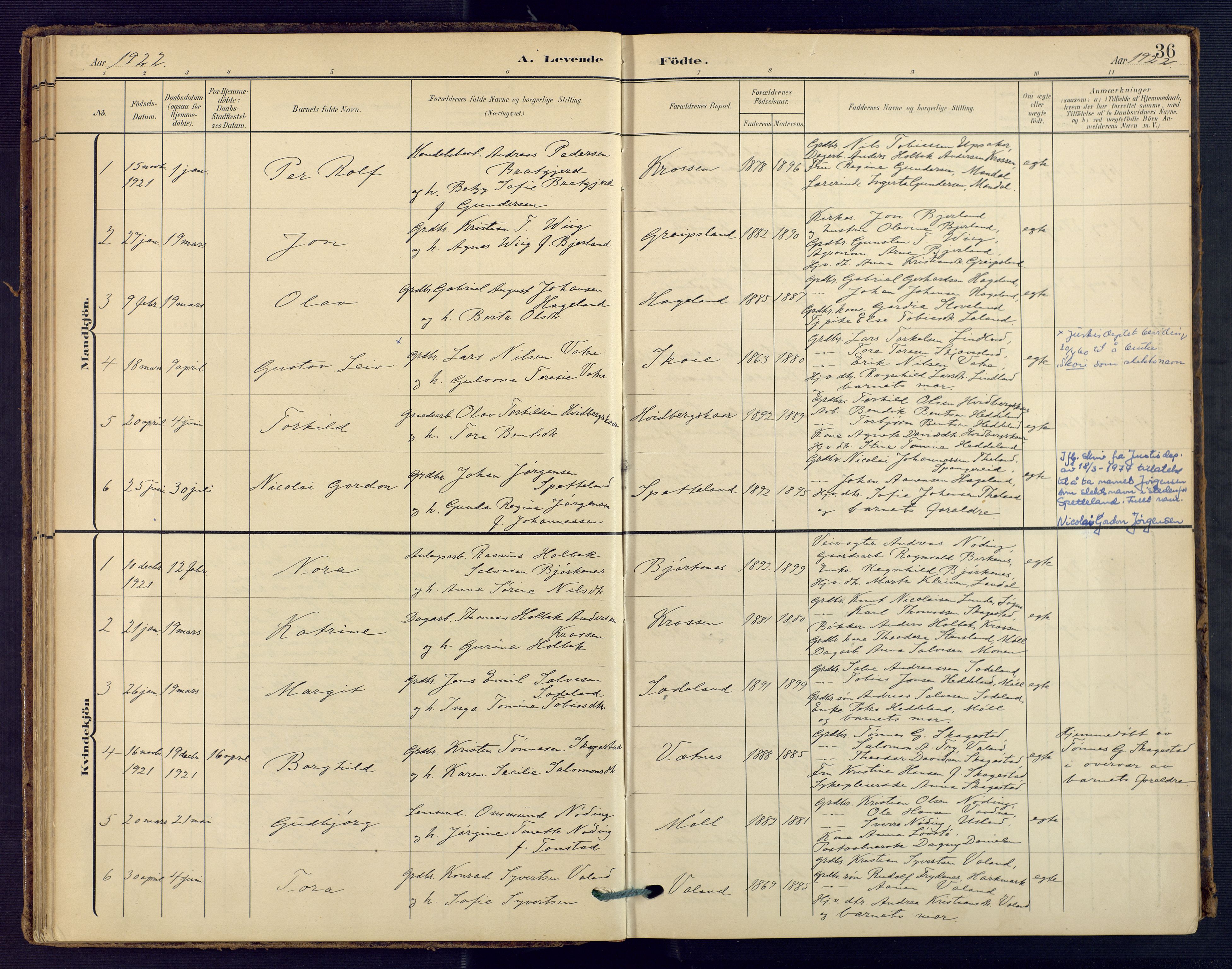 Holum sokneprestkontor, SAK/1111-0022/F/Fa/Faa/L0008: Parish register (official) no. A 8, 1908-1929, p. 36