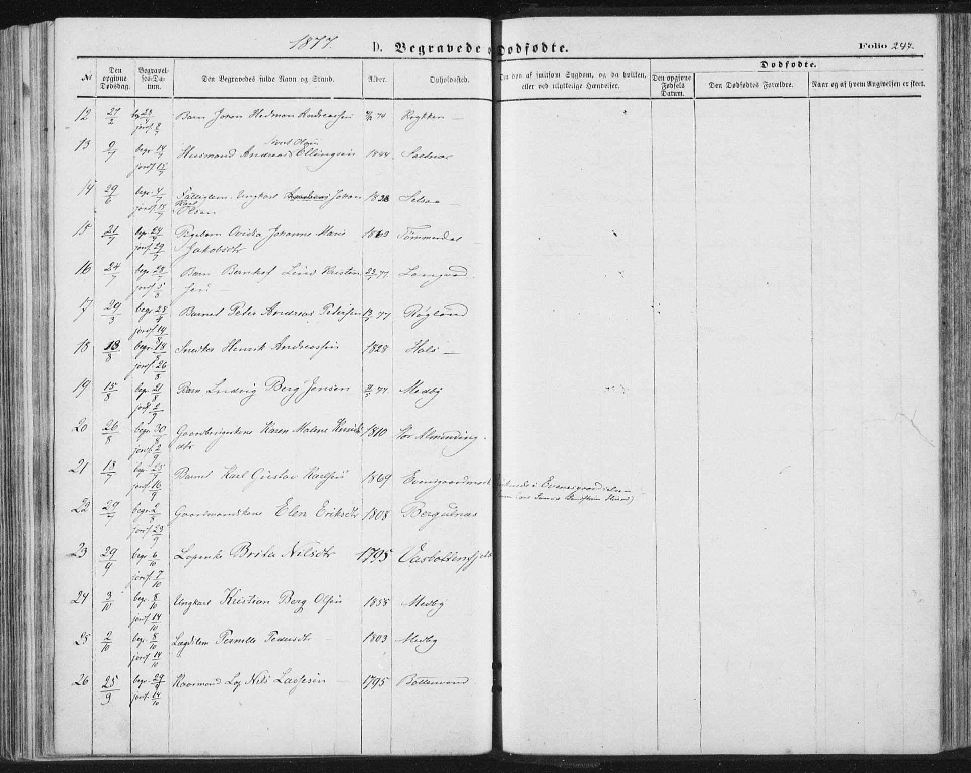 Ministerialprotokoller, klokkerbøker og fødselsregistre - Nordland, AV/SAT-A-1459/847/L0668: Parish register (official) no. 847A08, 1872-1886, p. 247