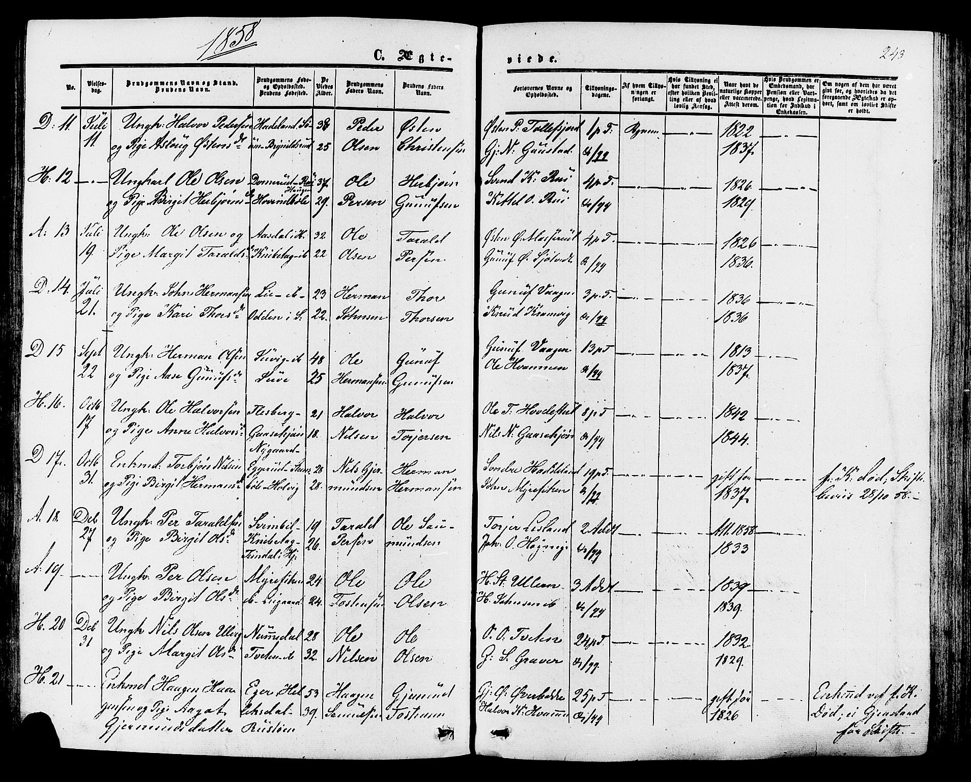 Tinn kirkebøker, SAKO/A-308/F/Fa/L0006: Parish register (official) no. I 6, 1857-1878, p. 243