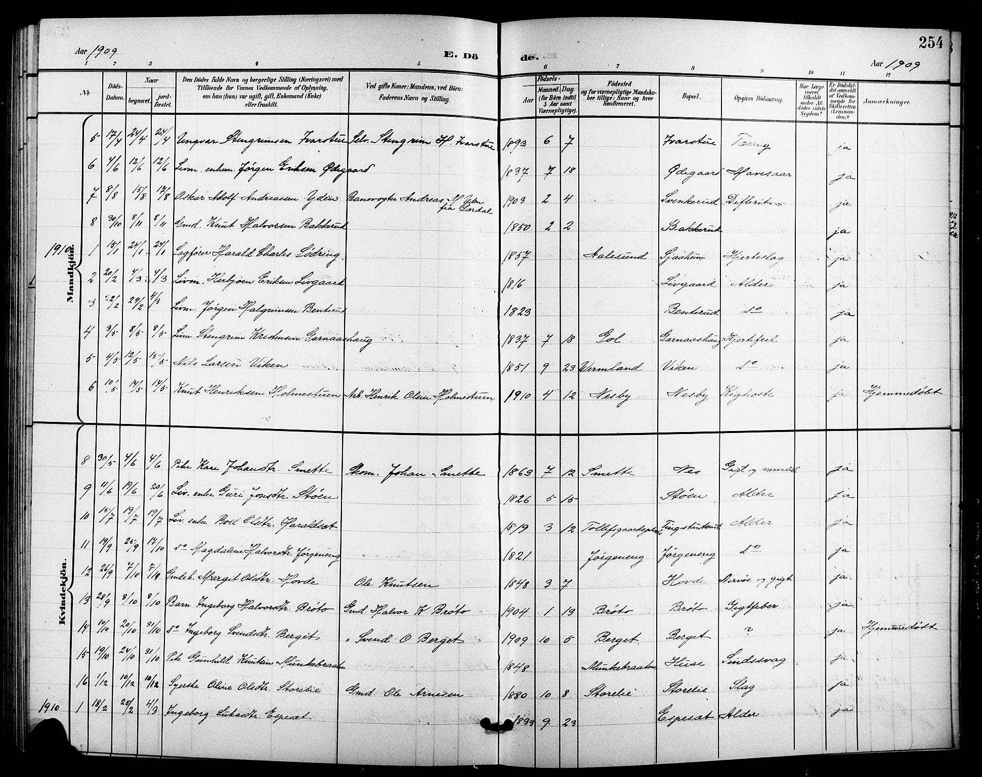 Nes kirkebøker, AV/SAKO-A-236/G/Ga/L0004: Parish register (copy) no. I 4, 1900-1925, p. 254