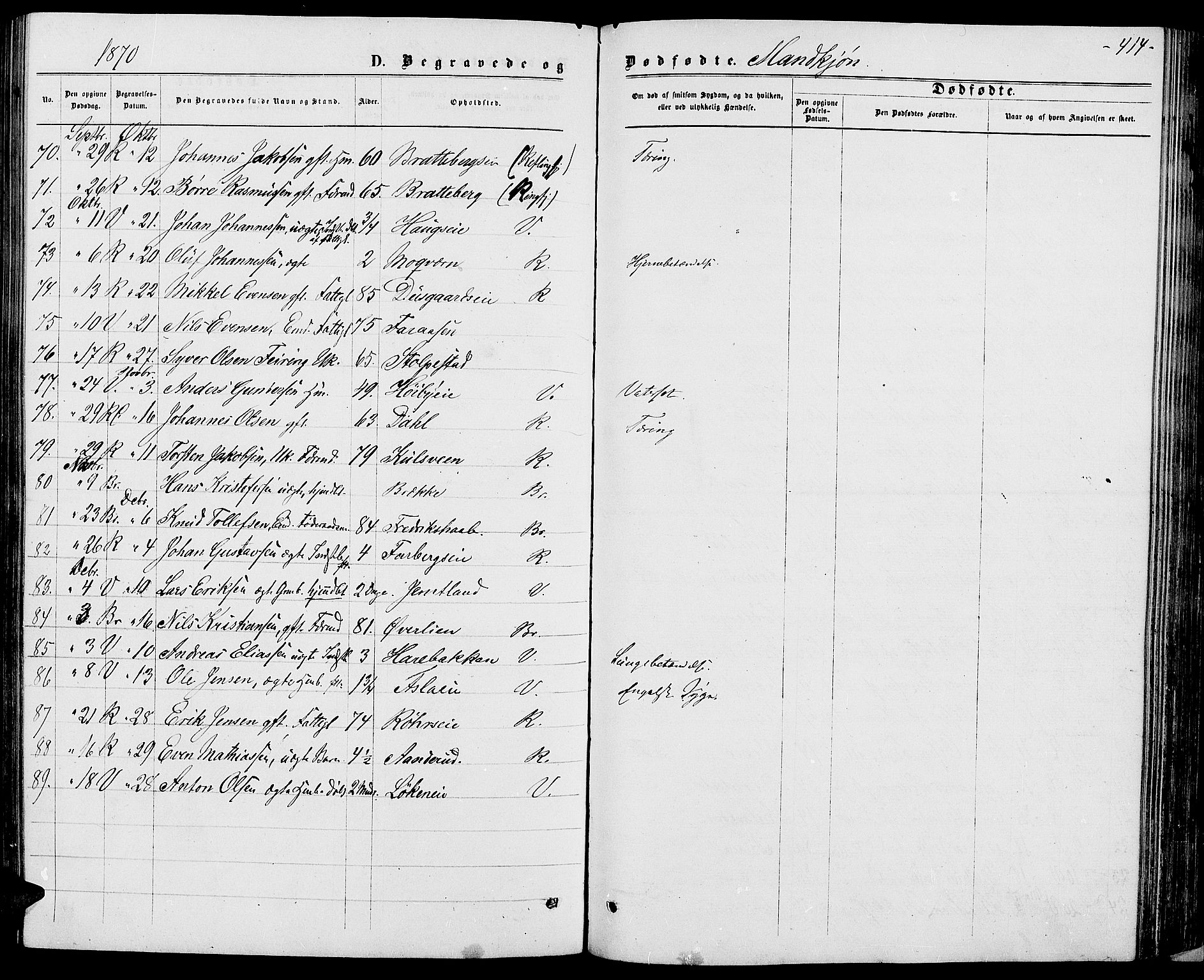 Ringsaker prestekontor, AV/SAH-PREST-014/L/La/L0008: Parish register (copy) no. 8, 1870-1878, p. 414