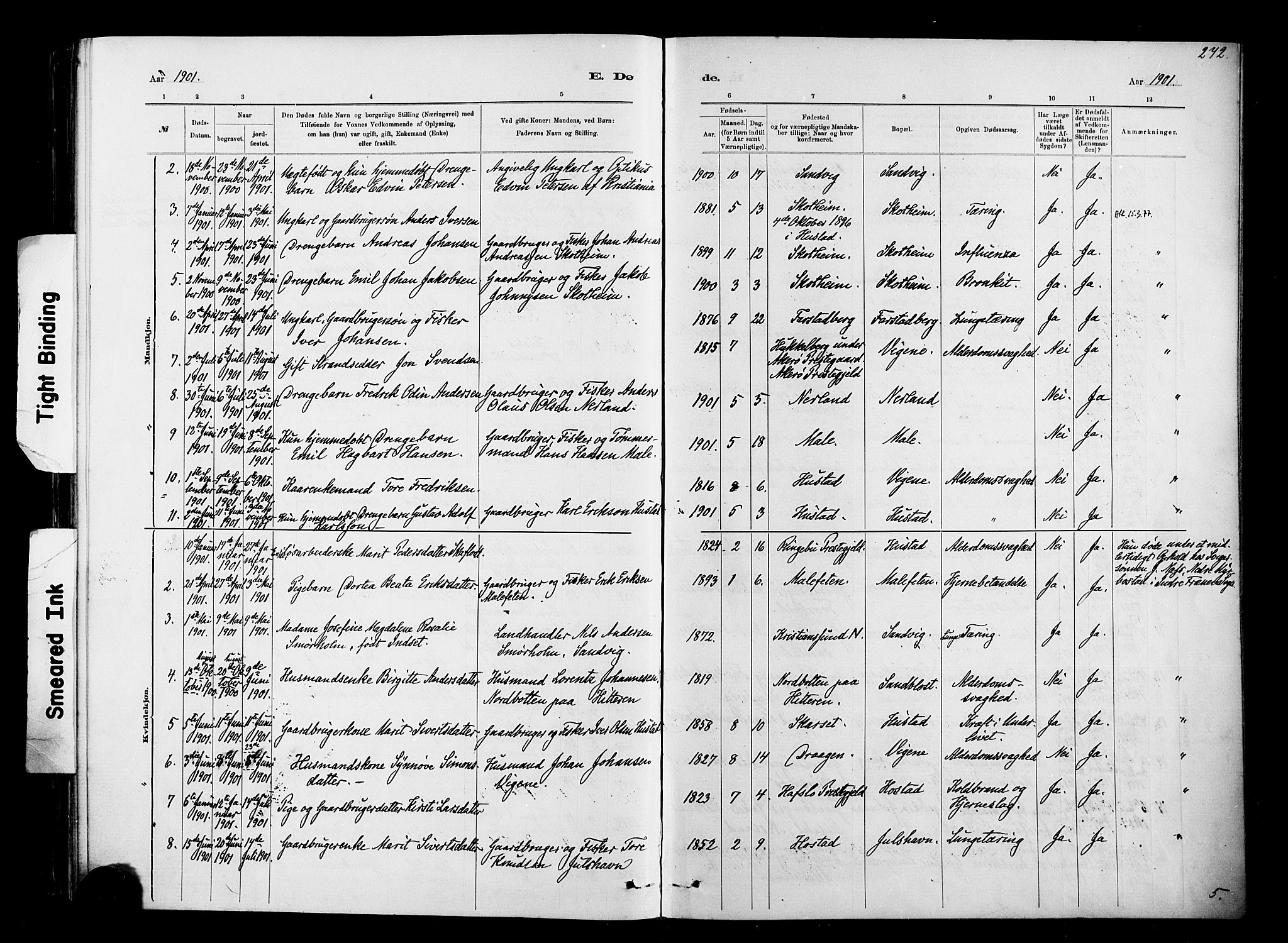 Ministerialprotokoller, klokkerbøker og fødselsregistre - Møre og Romsdal, AV/SAT-A-1454/567/L0778: Parish register (official) no. 567A01, 1881-1903, p. 272