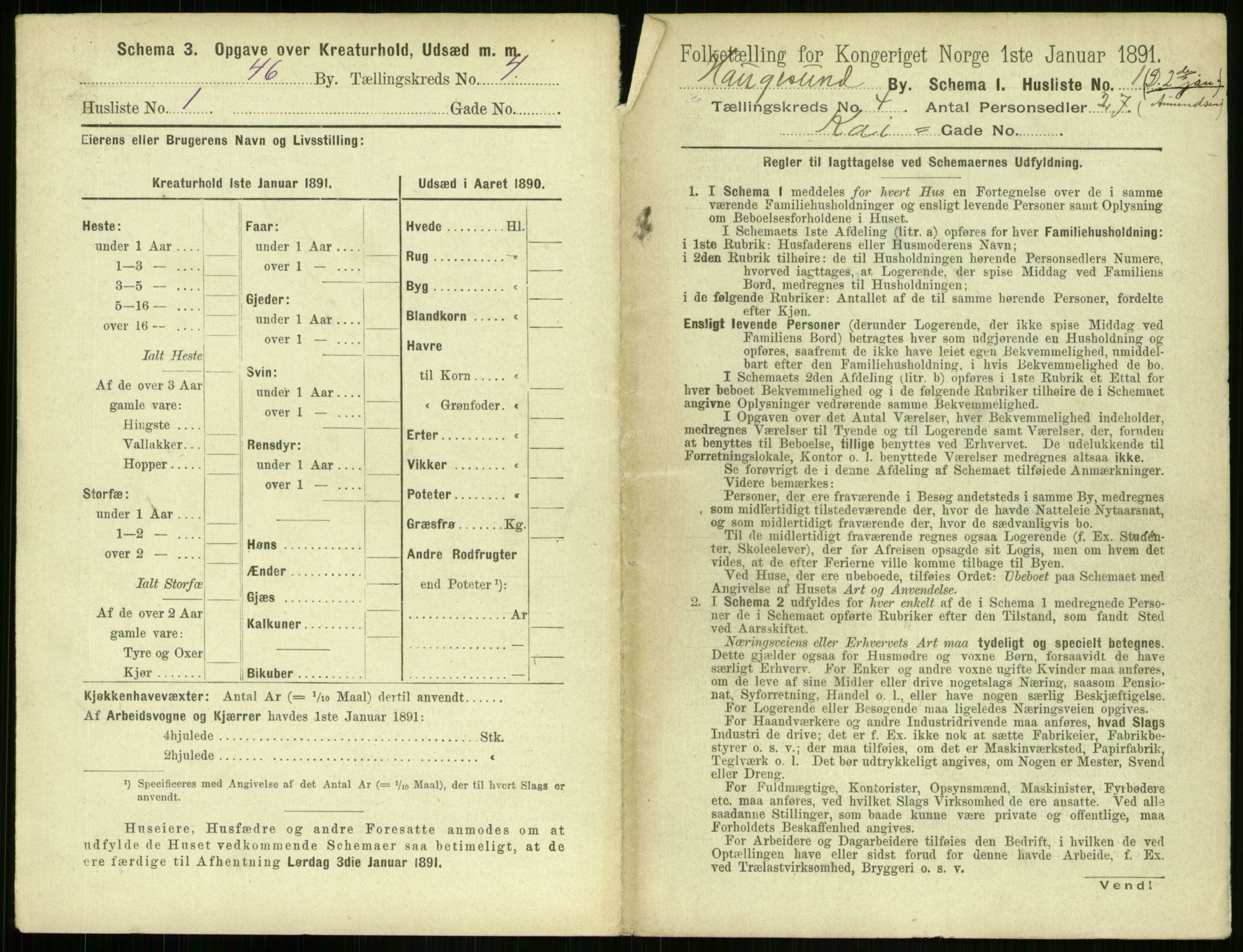 RA, 1891 census for 1106 Haugesund, 1891, p. 217