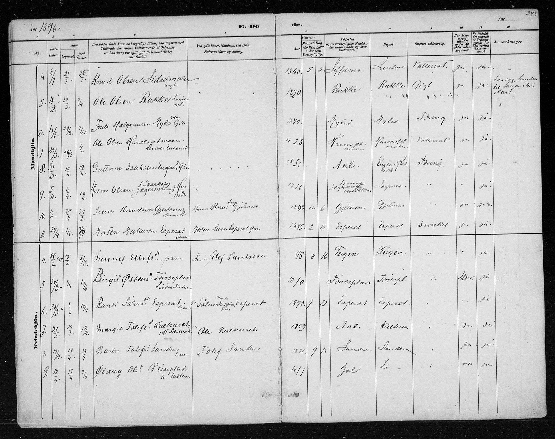 Nes kirkebøker, AV/SAKO-A-236/F/Fa/L0011: Parish register (official) no. 11, 1881-1912, p. 343