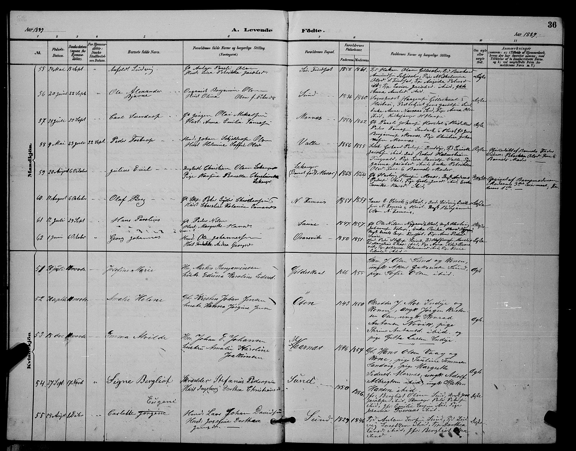 Ministerialprotokoller, klokkerbøker og fødselsregistre - Nordland, AV/SAT-A-1459/805/L0108: Parish register (copy) no. 805C04, 1885-1899, p. 36