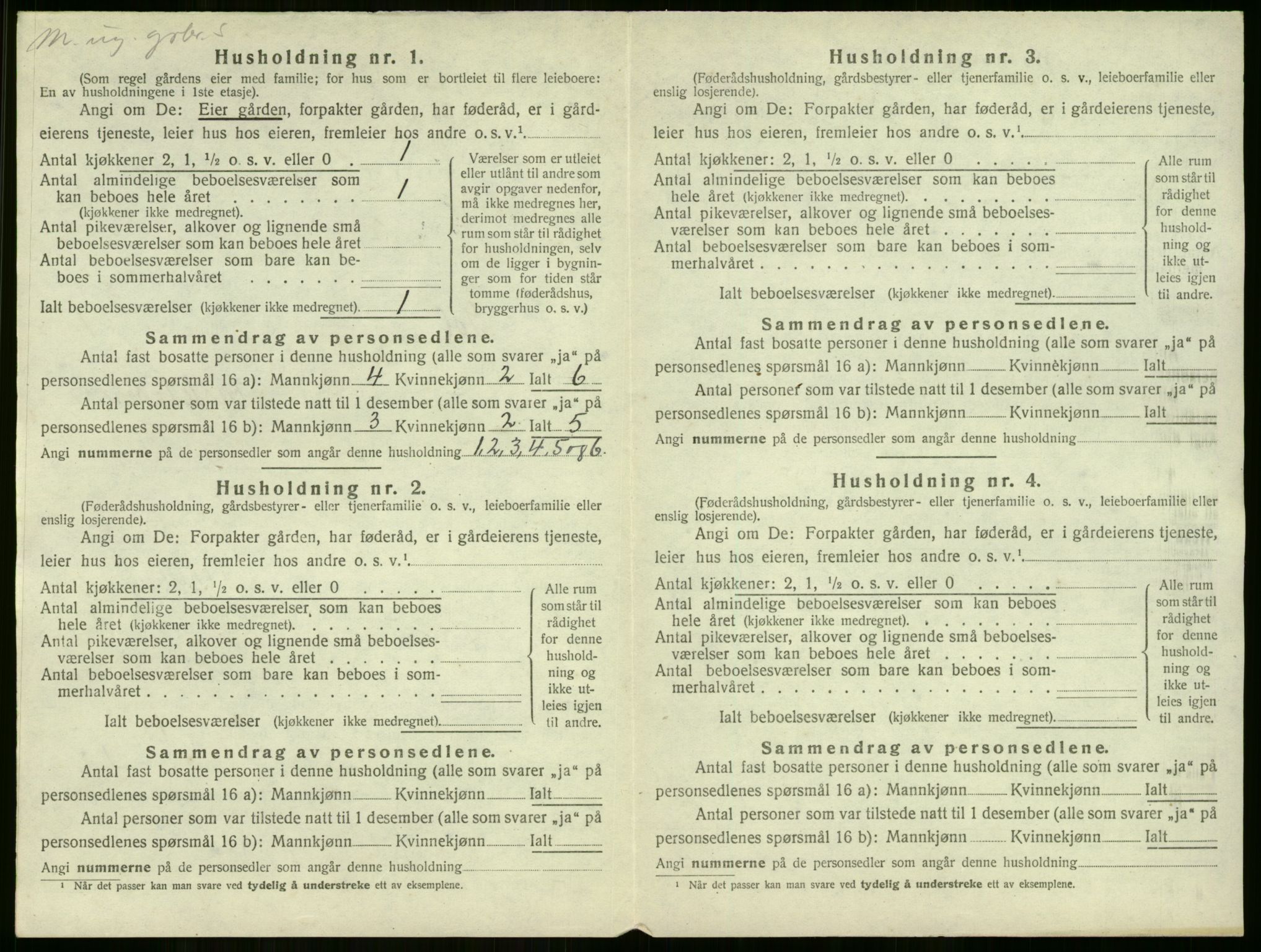 SAKO, 1920 census for Gol, 1920, p. 31
