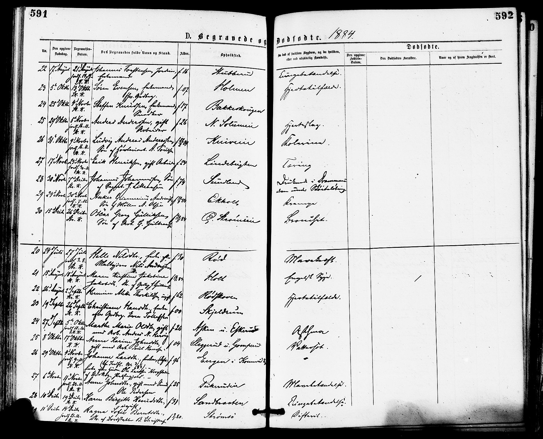 Skoger kirkebøker, AV/SAKO-A-59/F/Fa/L0005: Parish register (official) no. I 5, 1873-1884, p. 591-592