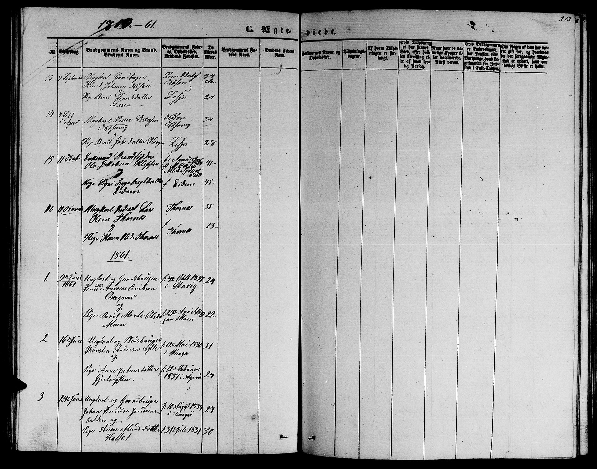 Ministerialprotokoller, klokkerbøker og fødselsregistre - Møre og Romsdal, SAT/A-1454/565/L0753: Parish register (copy) no. 565C02, 1845-1870, p. 213