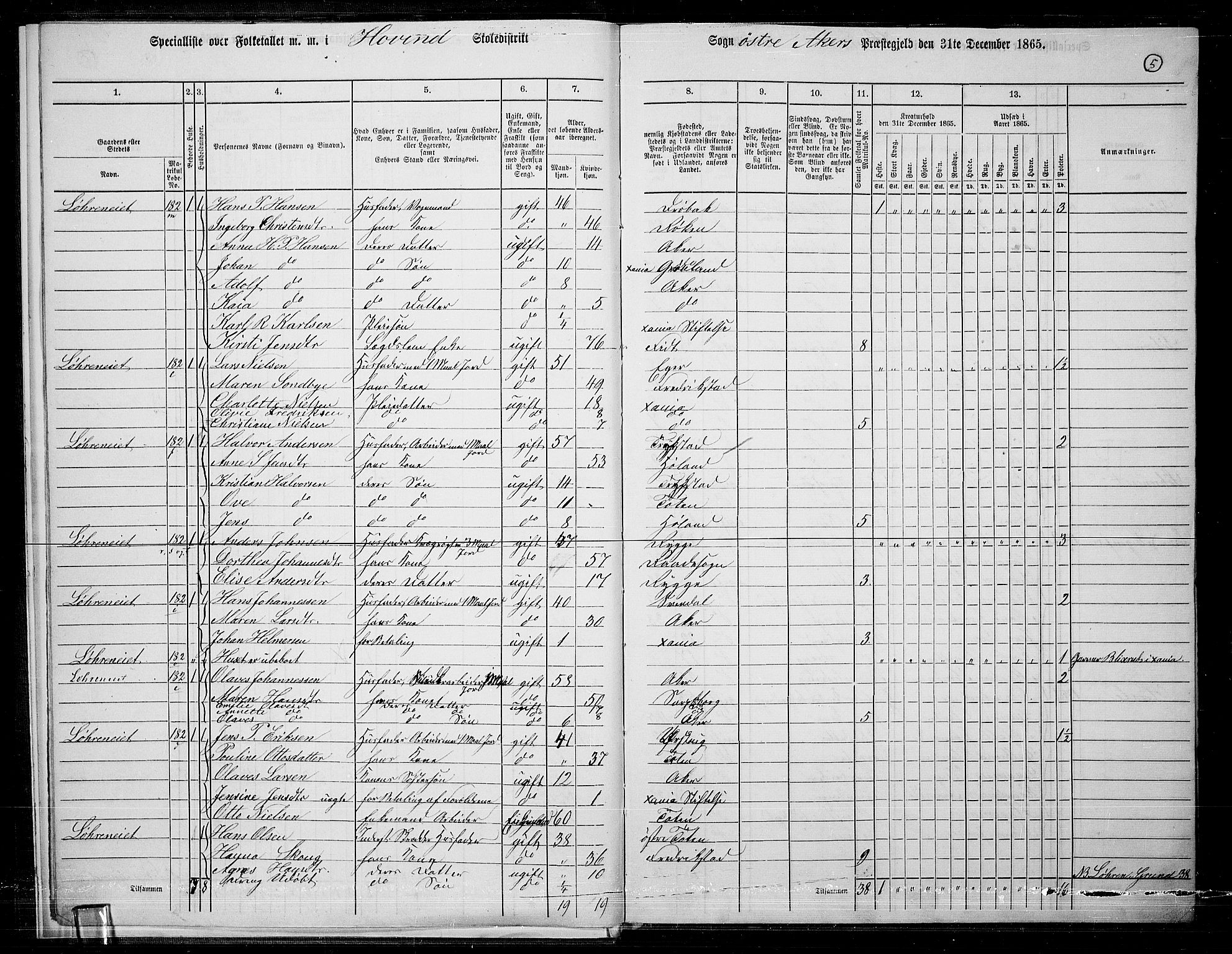 RA, 1865 census for Østre Aker, 1865, p. 229