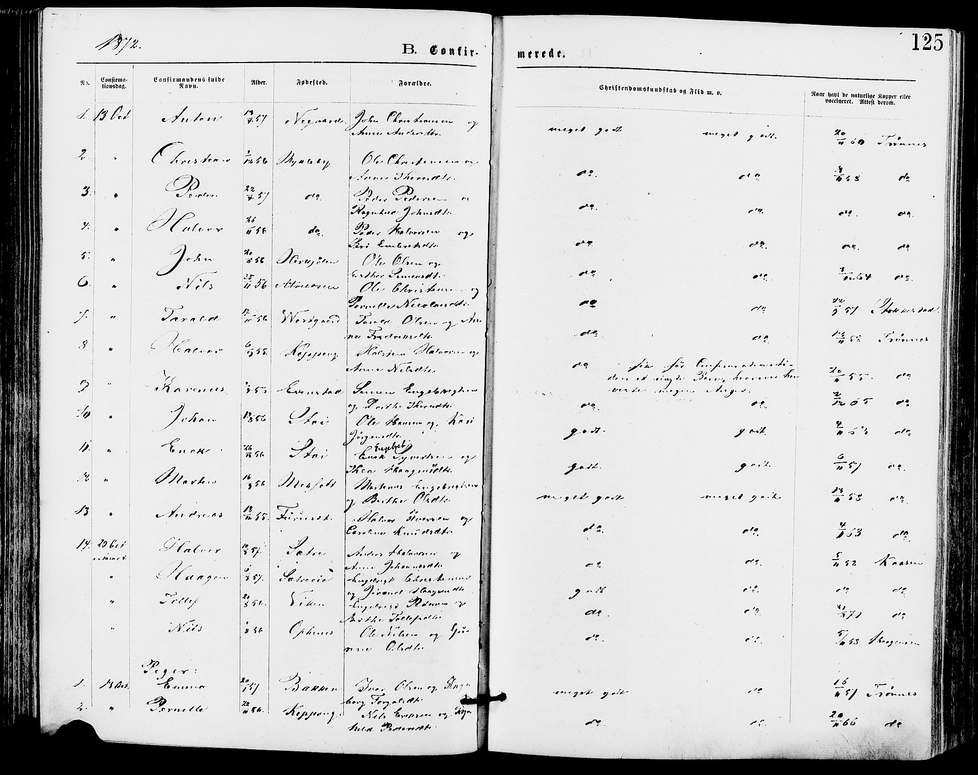 Stor-Elvdal prestekontor, SAH/PREST-052/H/Ha/Haa/L0001: Parish register (official) no. 1, 1871-1882, p. 125