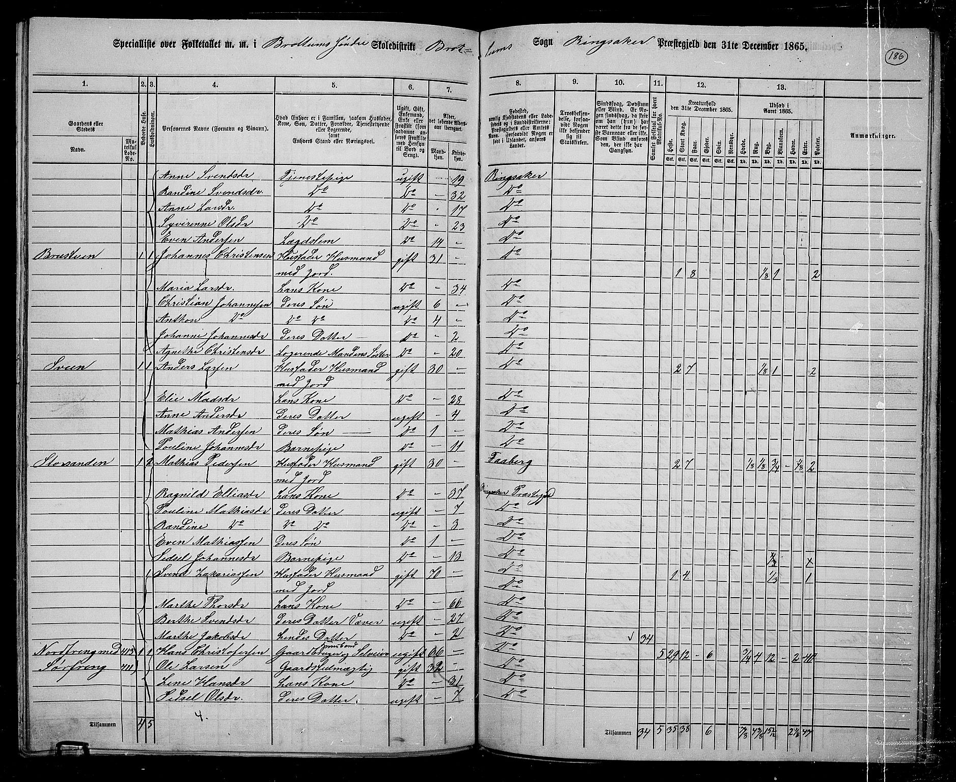 RA, 1865 census for Ringsaker, 1865, p. 428