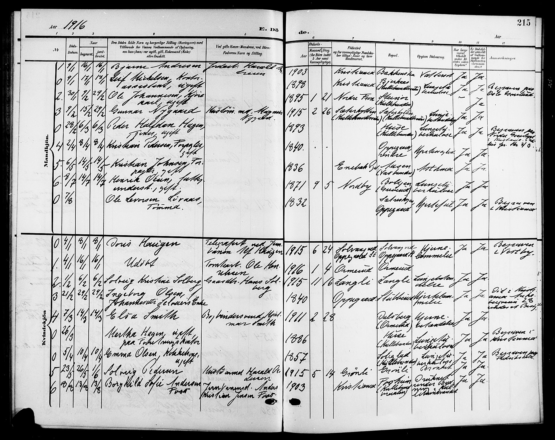 Nesodden prestekontor Kirkebøker, SAO/A-10013/G/Gb/L0001: Parish register (copy) no. II 1, 1905-1924, p. 215
