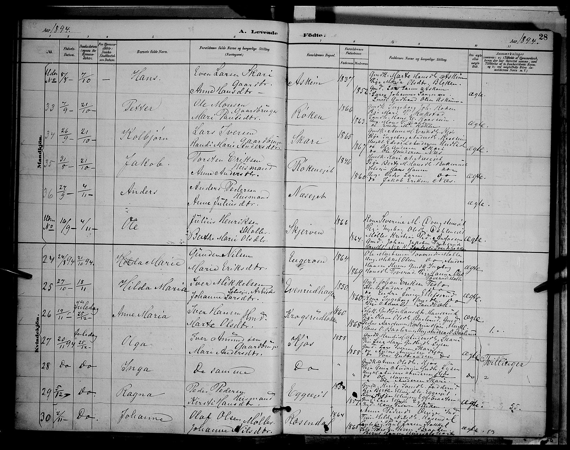 Gran prestekontor, SAH/PREST-112/H/Ha/Hab/L0004: Parish register (copy) no. 4, 1890-1899, p. 28