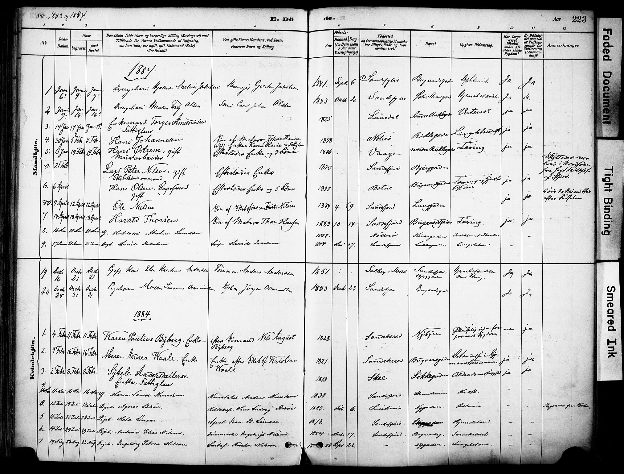 Sandefjord kirkebøker, AV/SAKO-A-315/F/Fa/L0002: Parish register (official) no. 2, 1880-1894, p. 223