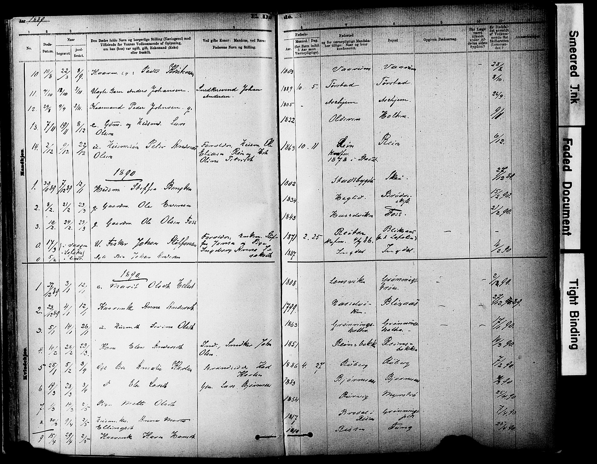 Ministerialprotokoller, klokkerbøker og fødselsregistre - Sør-Trøndelag, AV/SAT-A-1456/646/L0615: Parish register (official) no. 646A13, 1885-1900