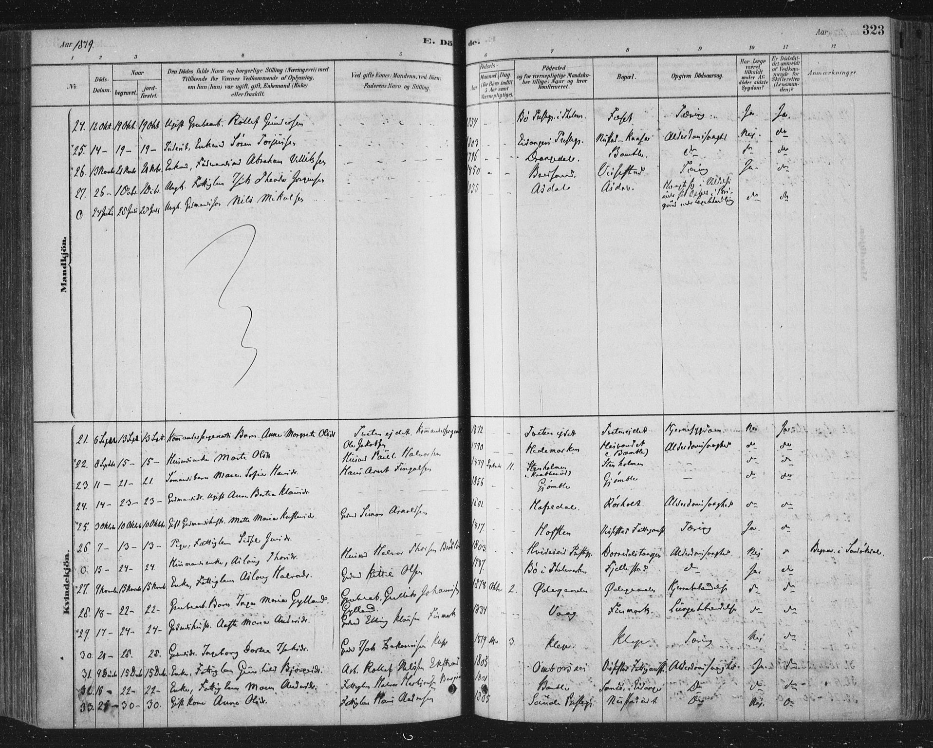 Bamble kirkebøker, SAKO/A-253/F/Fa/L0007: Parish register (official) no. I 7, 1878-1888, p. 323