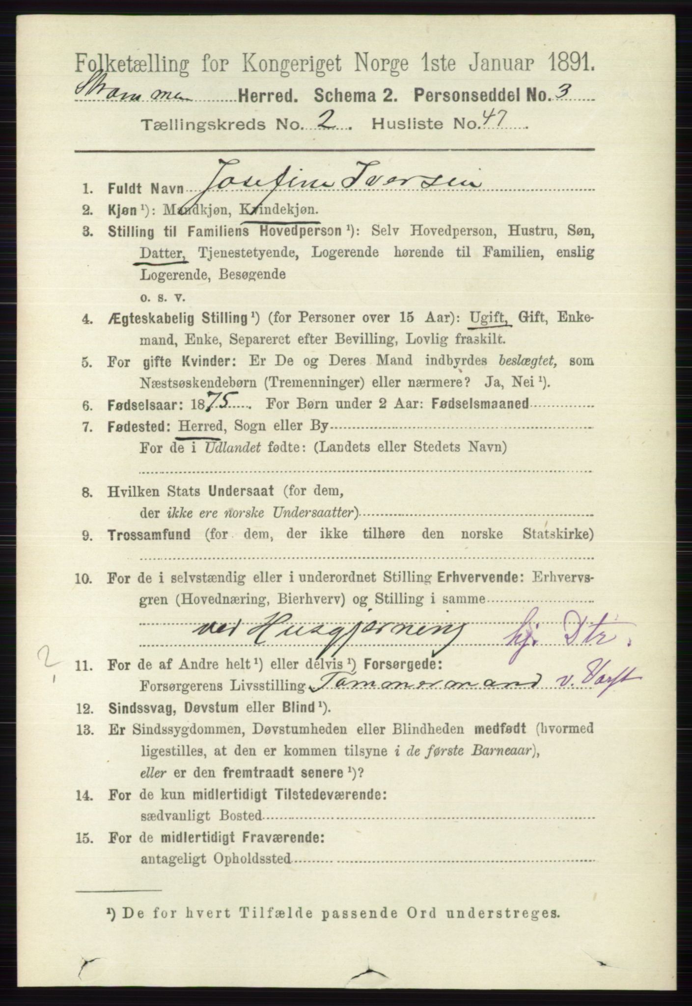 RA, 1891 census for 0711 Strømm, 1891, p. 982