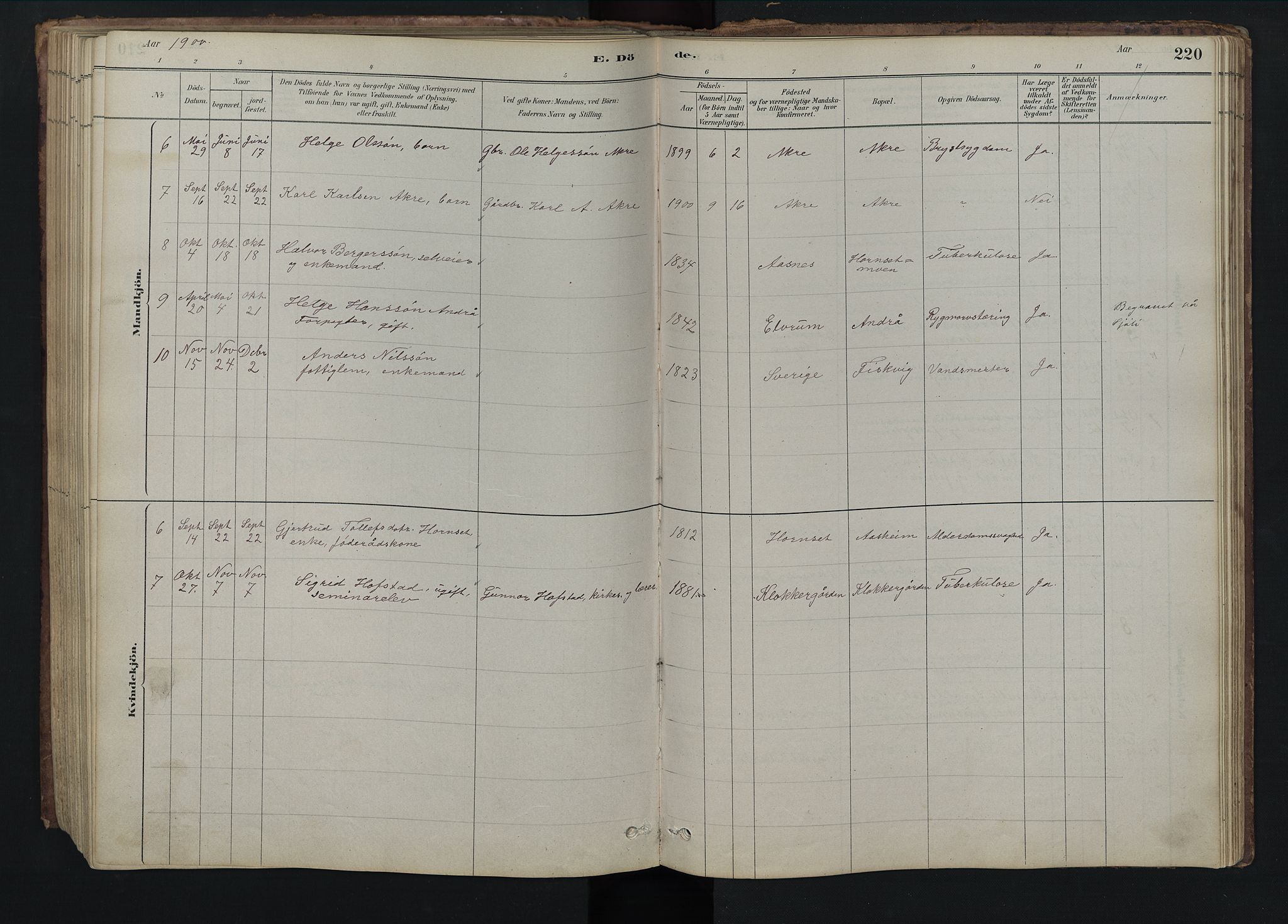 Rendalen prestekontor, SAH/PREST-054/H/Ha/Hab/L0009: Parish register (copy) no. 9, 1879-1902, p. 220