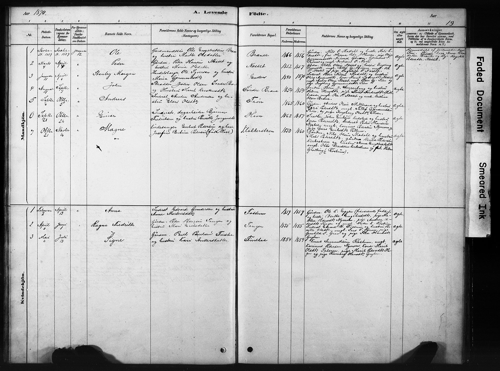 Sollia prestekontor, SAH/PREST-050/H/Ha/Hab/L0002: Parish register (copy) no. 2, 1880-1933, p. 19