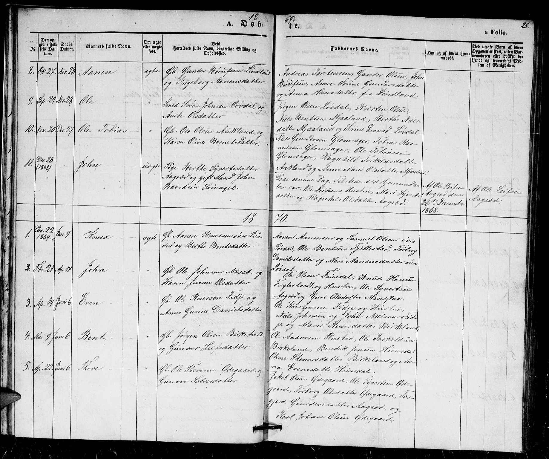Holum sokneprestkontor, SAK/1111-0022/F/Fb/Fbb/L0002: Parish register (copy) no. B 2, 1847-1874, p. 25