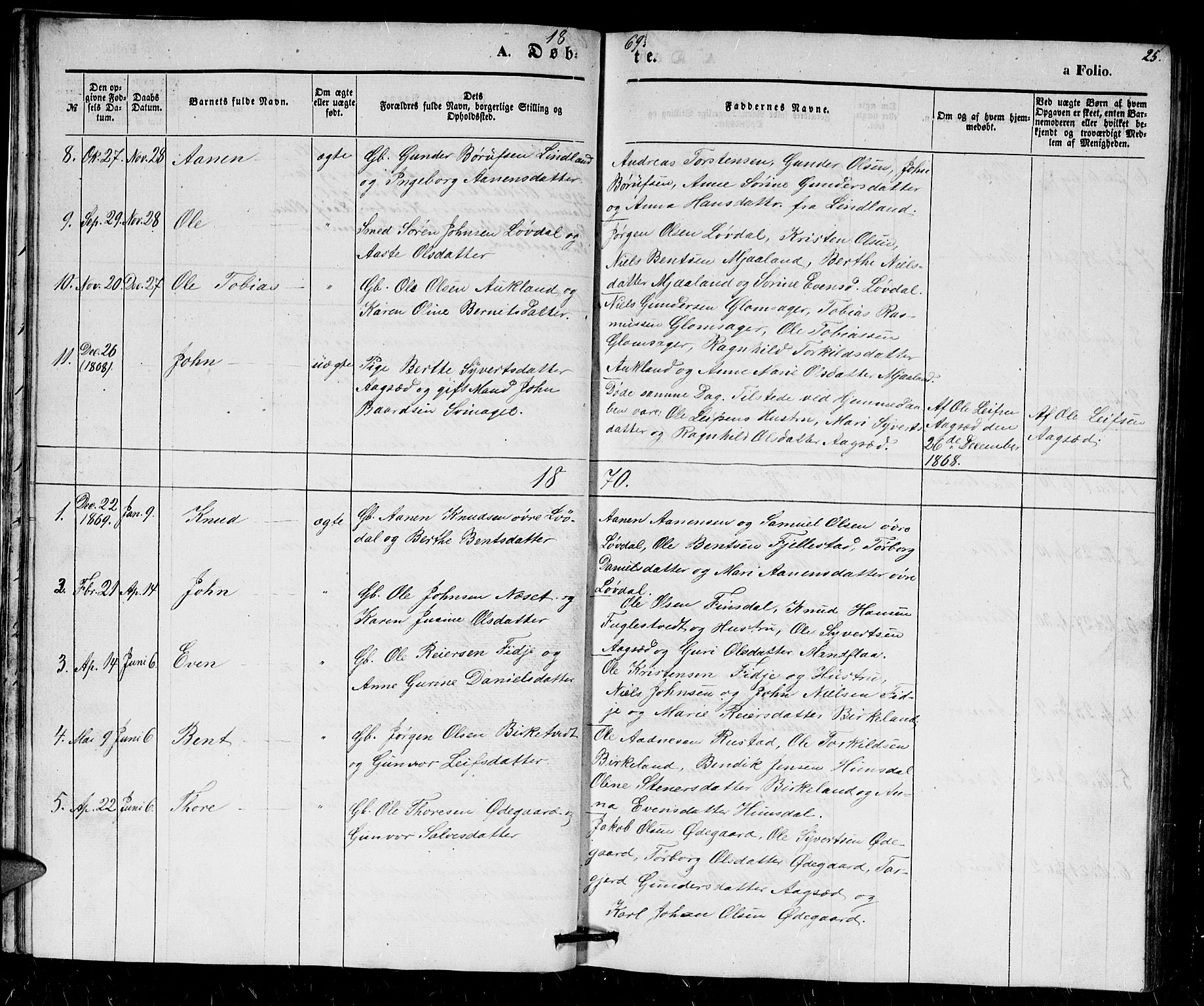 Holum sokneprestkontor, AV/SAK-1111-0022/F/Fb/Fbb/L0002: Parish register (copy) no. B 2, 1847-1874, p. 25