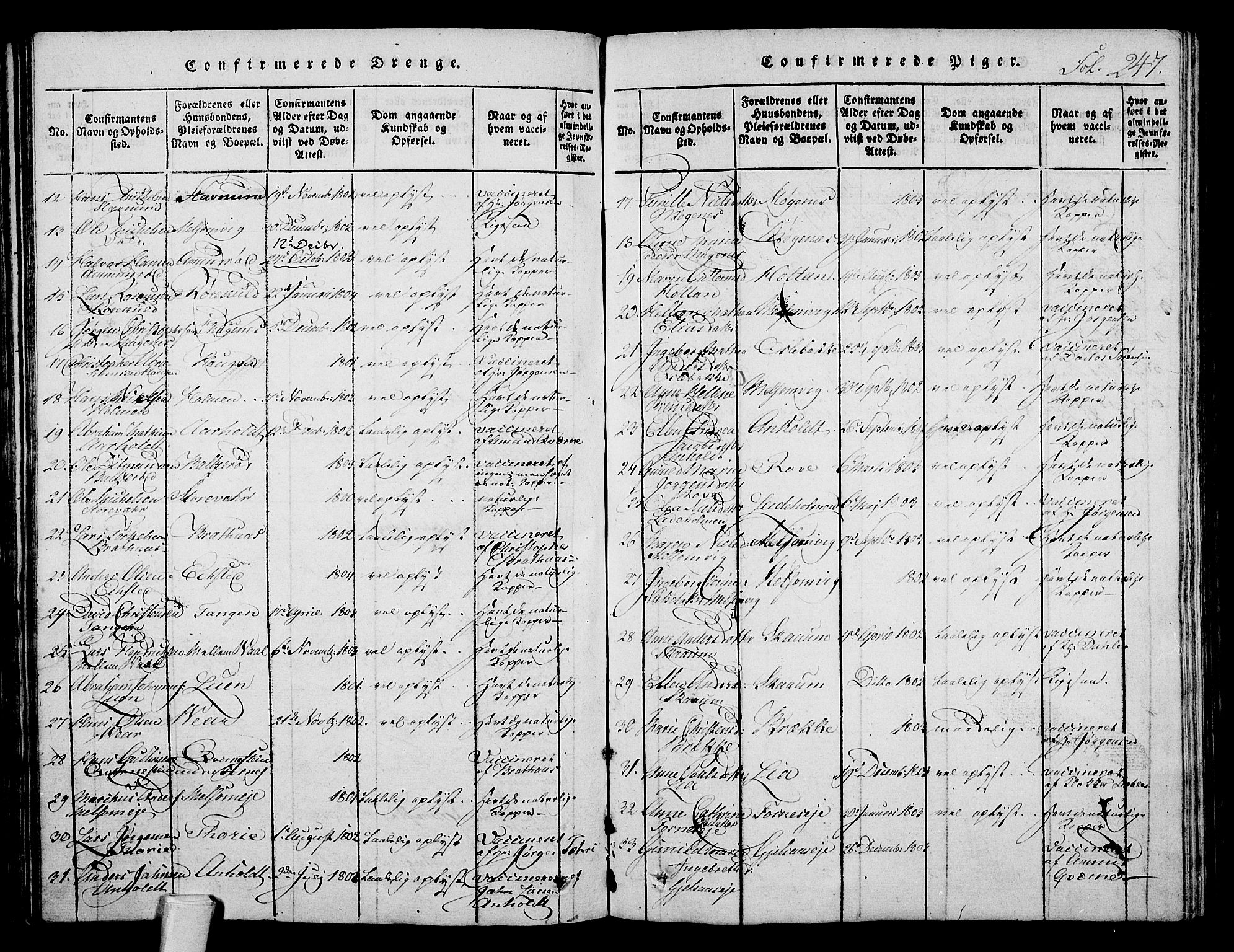 Stokke kirkebøker, AV/SAKO-A-320/F/Fa/L0005: Parish register (official) no. I 5, 1815-1826, p. 247