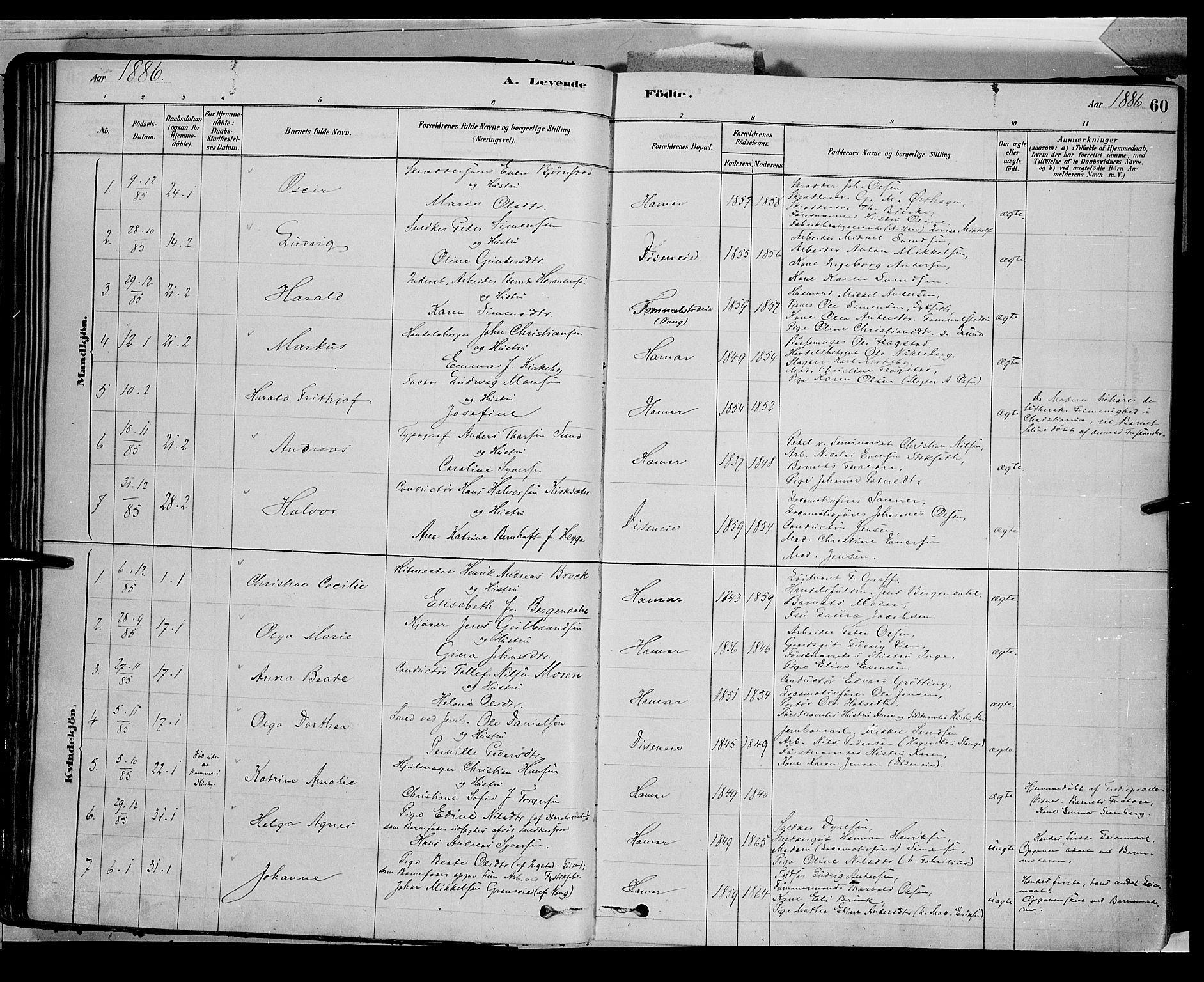 Vang prestekontor, Hedmark, SAH/PREST-008/H/Ha/Haa/L0016: Parish register (official) no. 16, 1878-1889, p. 60
