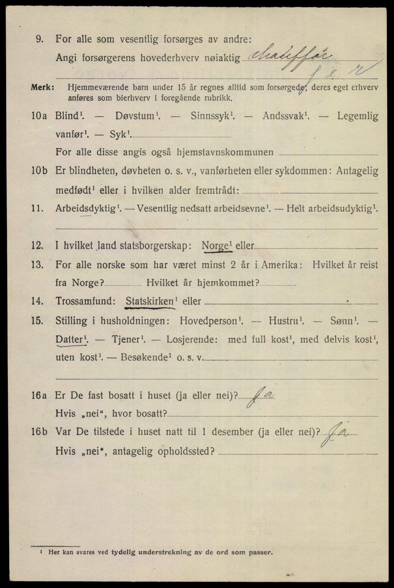 SAKO, 1920 census for Kongsberg, 1920, p. 12963