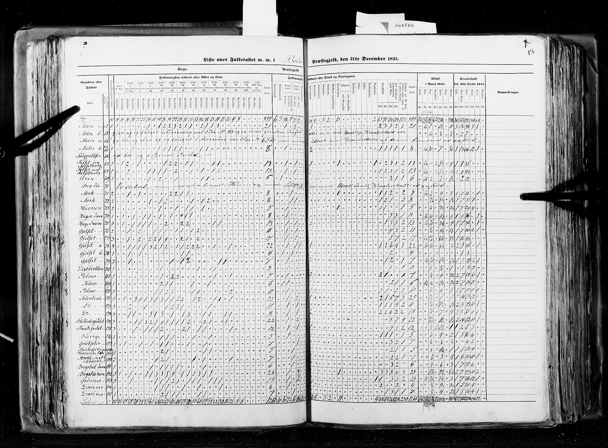 RA, Census 1845, vol. 8: Romsdal amt og Søndre Trondhjems amt, 1845, p. 156