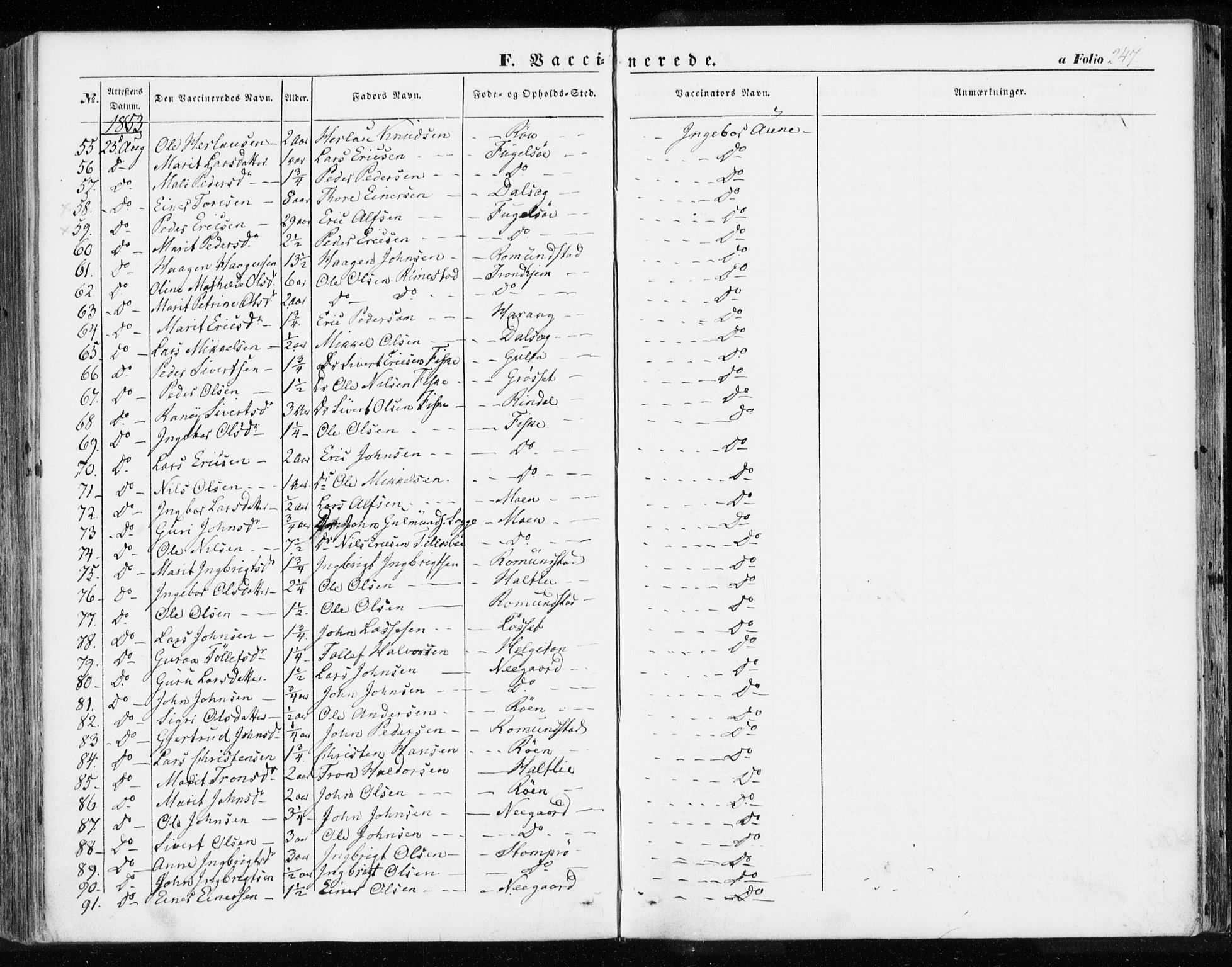 Ministerialprotokoller, klokkerbøker og fødselsregistre - Møre og Romsdal, AV/SAT-A-1454/595/L1044: Parish register (official) no. 595A06, 1852-1863, p. 247