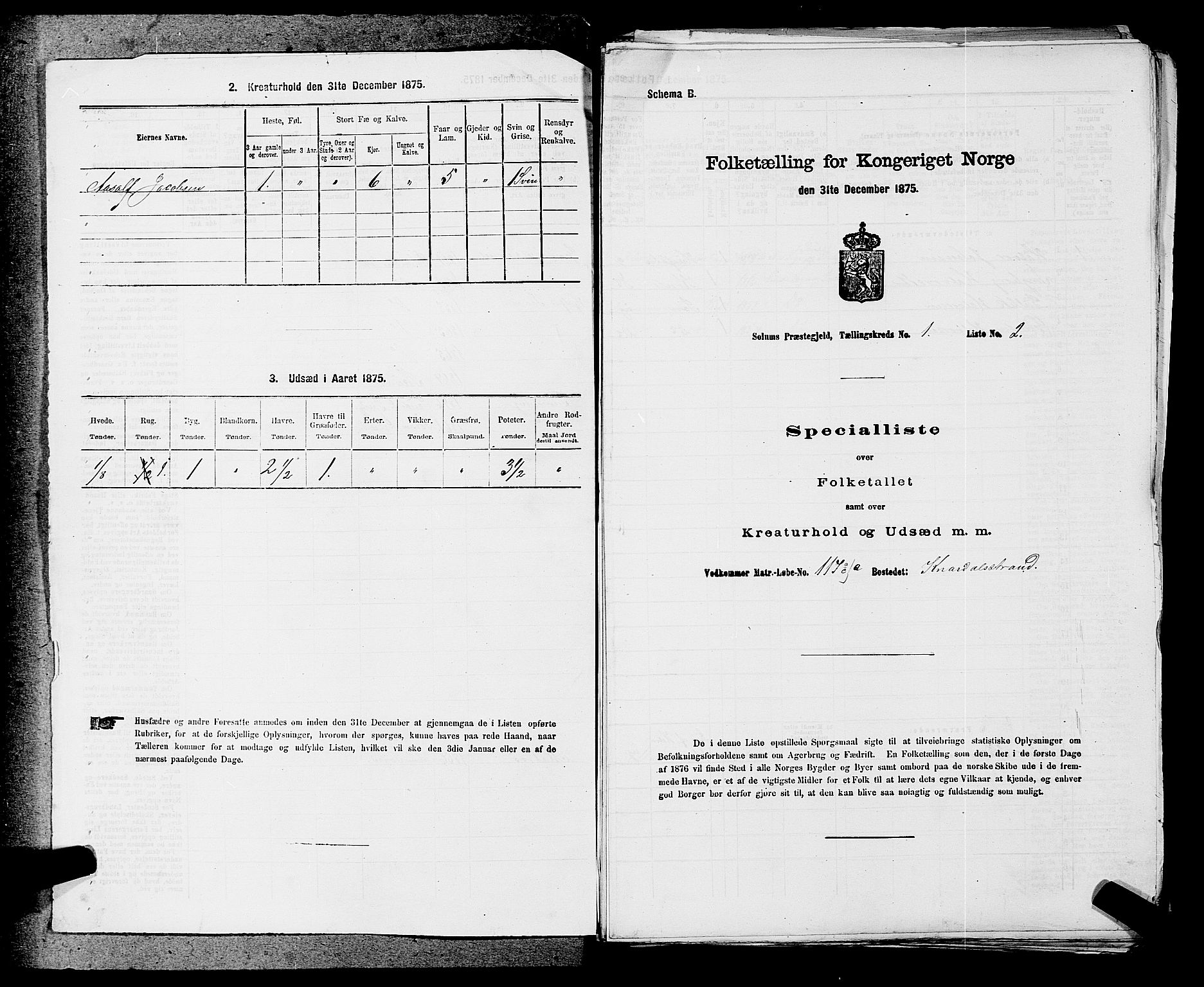 SAKO, 1875 census for 0818P Solum, 1875, p. 87