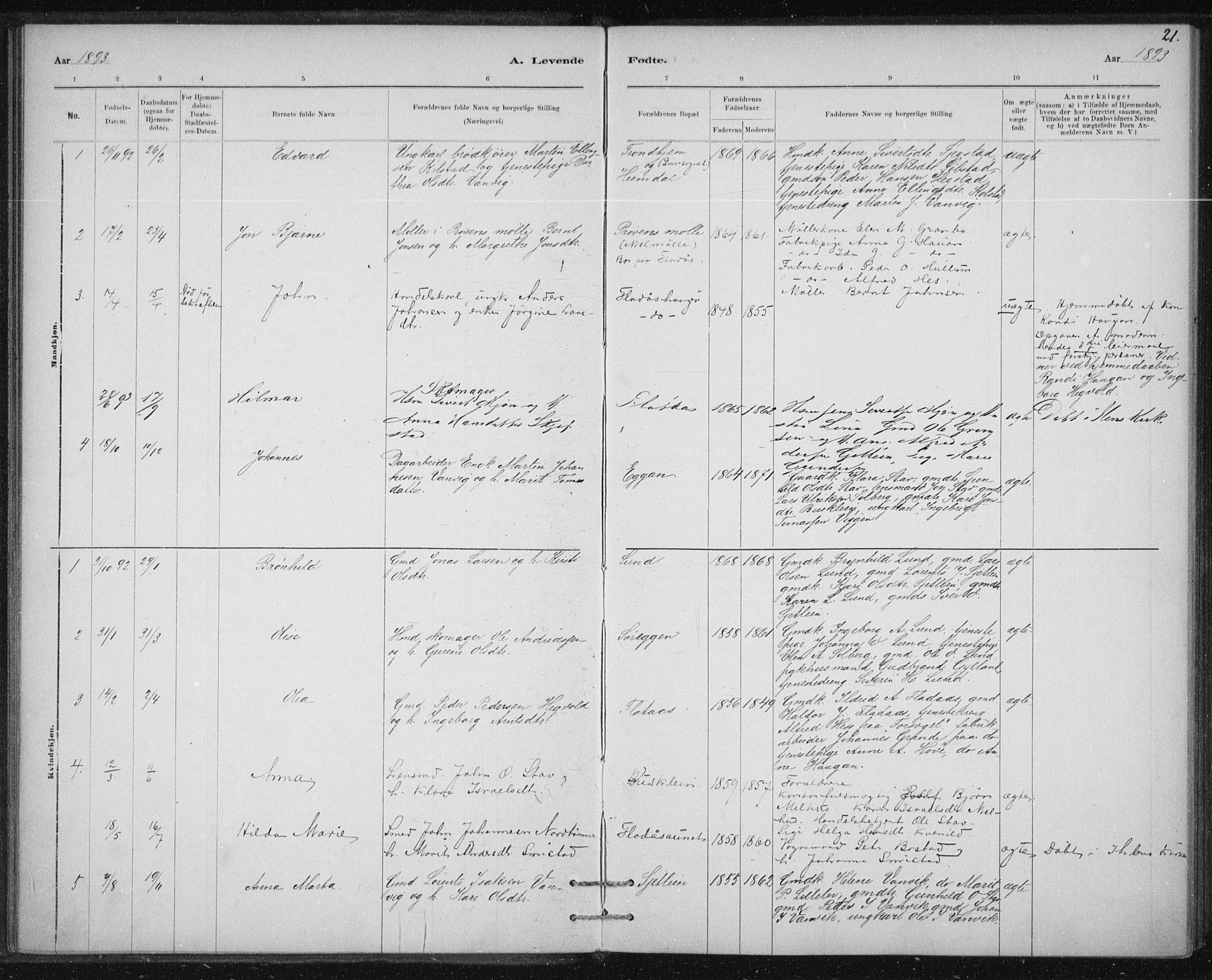 Ministerialprotokoller, klokkerbøker og fødselsregistre - Sør-Trøndelag, SAT/A-1456/613/L0392: Parish register (official) no. 613A01, 1887-1906, p. 21