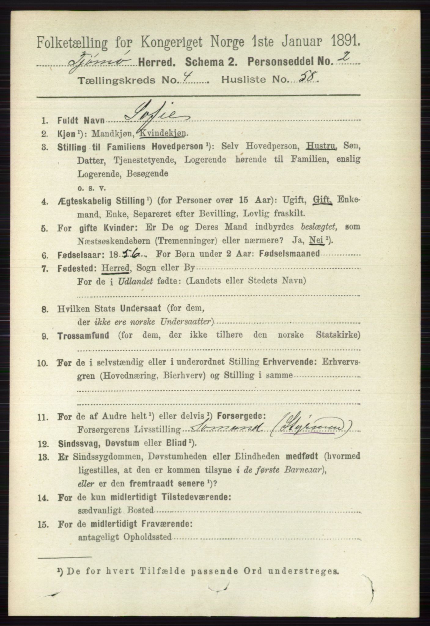 RA, 1891 census for 0723 Tjøme, 1891, p. 1595