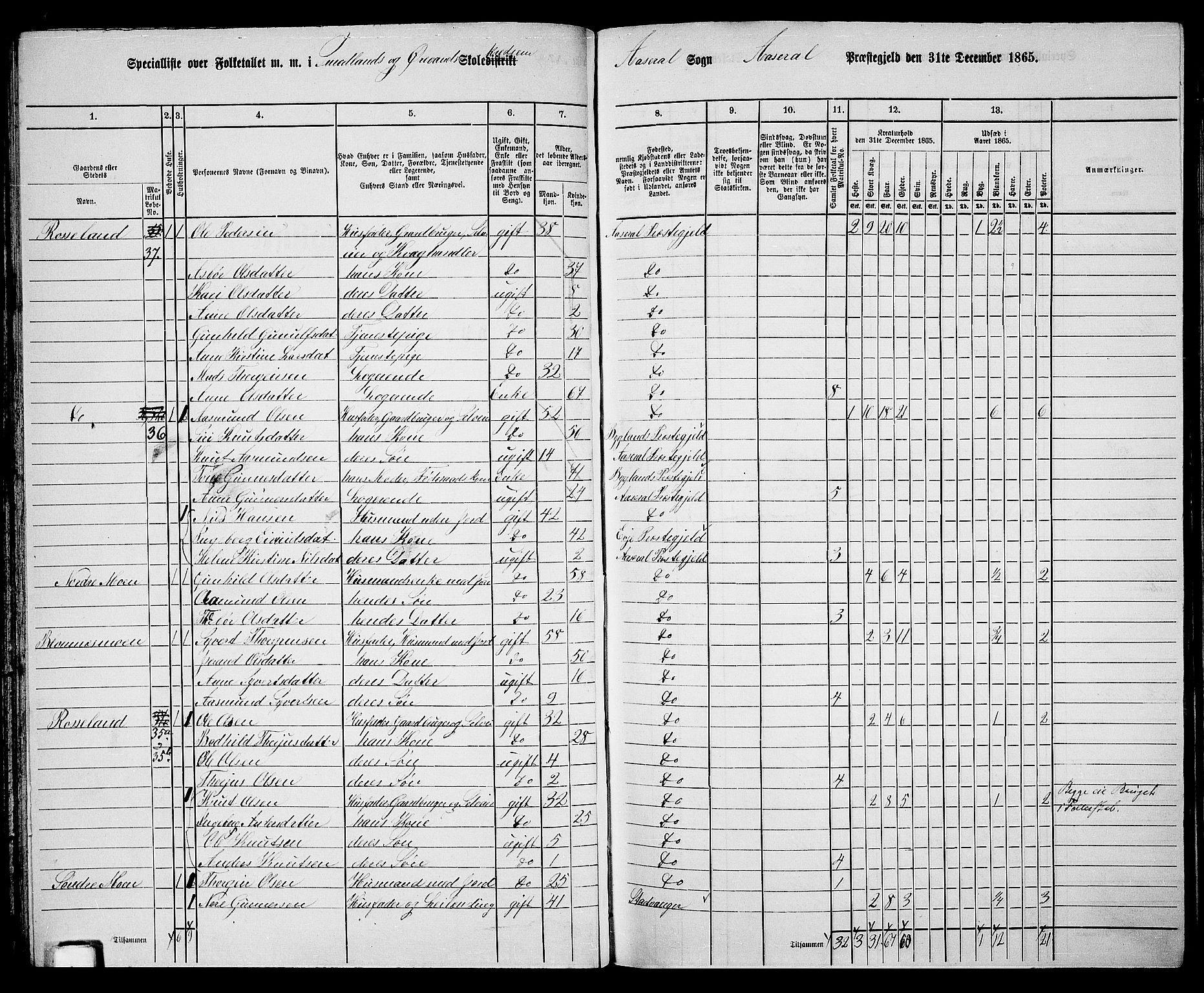 RA, 1865 census for Åseral, 1865, p. 45